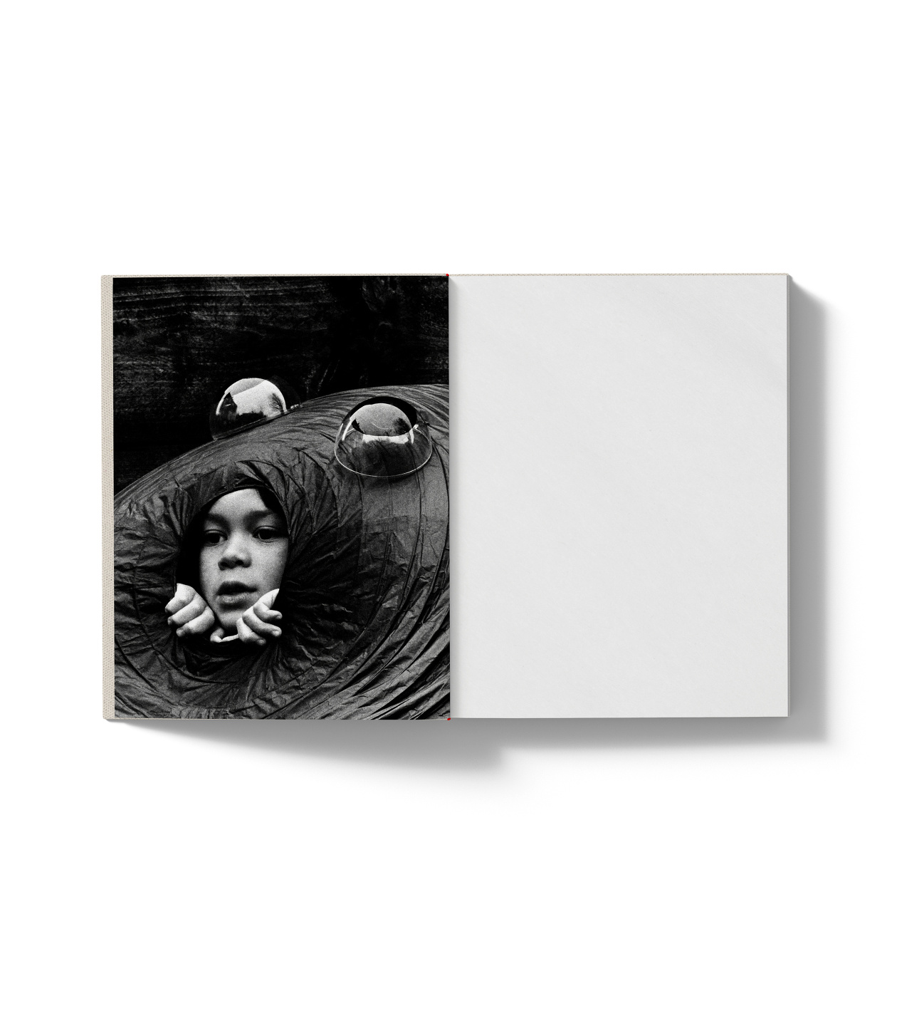 A is for Ant: Book, Short Film & Exhibition with Jack Davidson