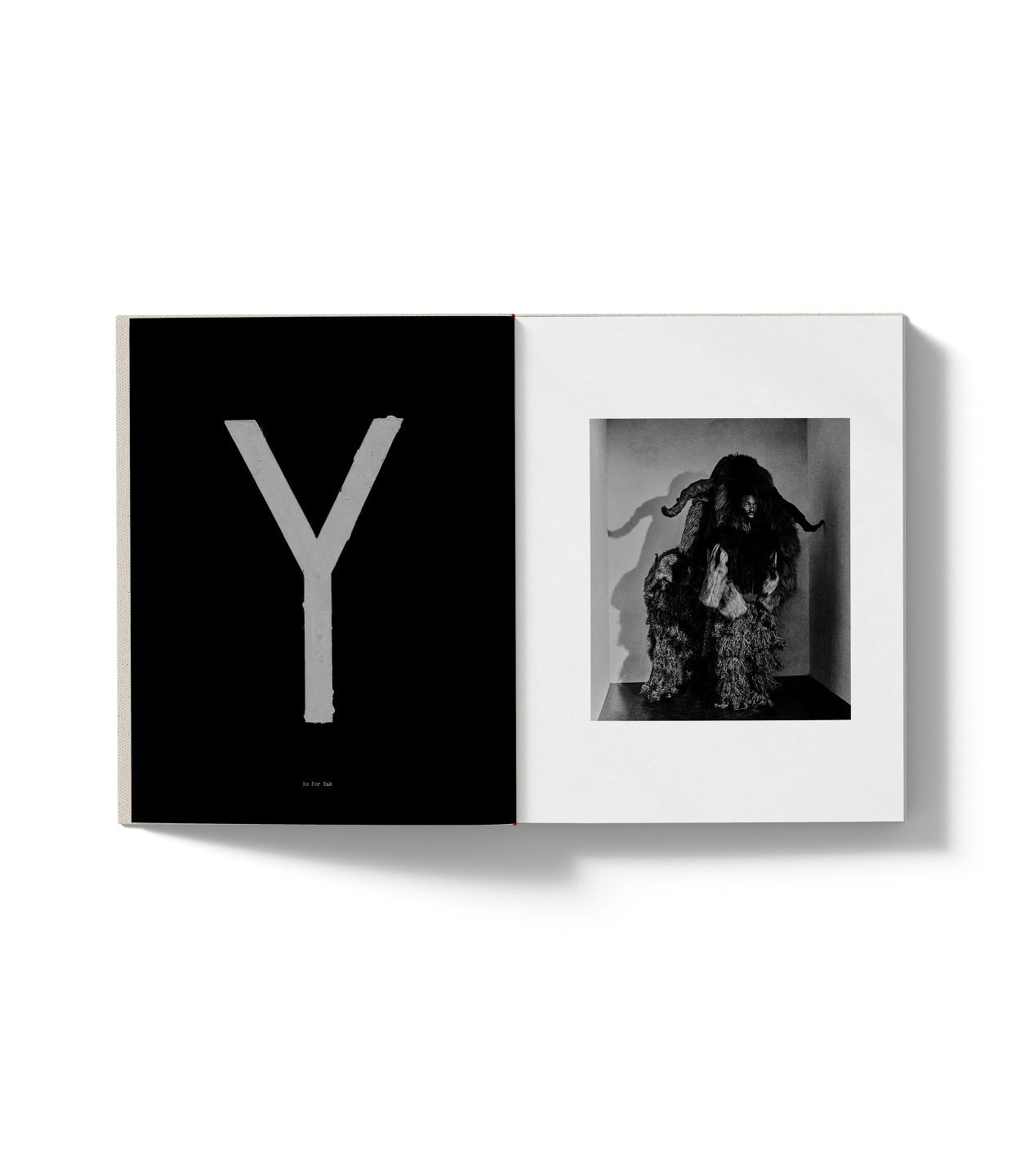 A is for Ant: Book, Short Film & Exhibition with Jack Davidson