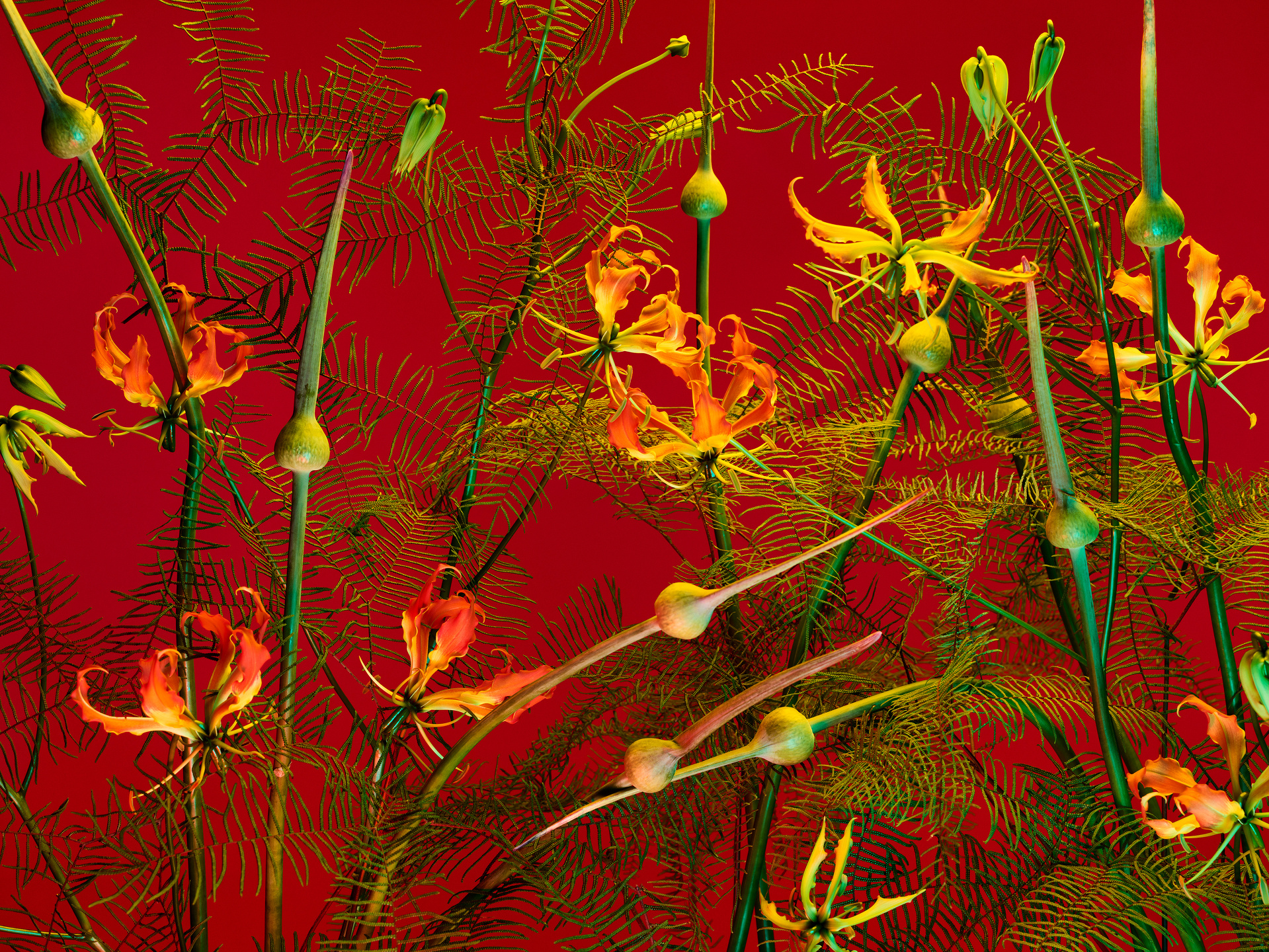 The Birds and the Bees