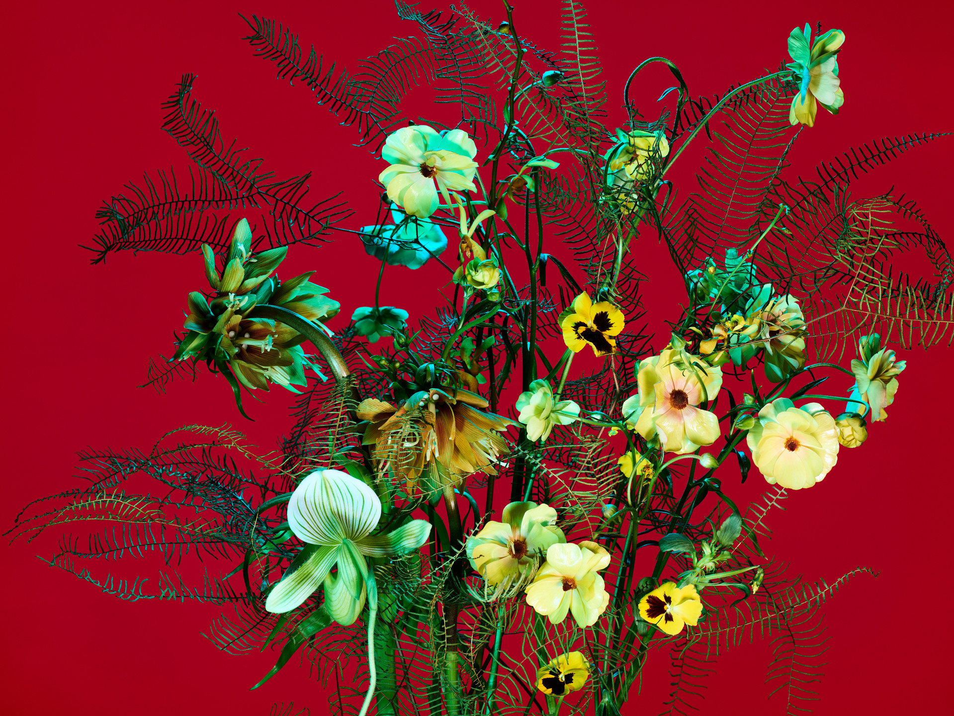 The Birds and the Bees