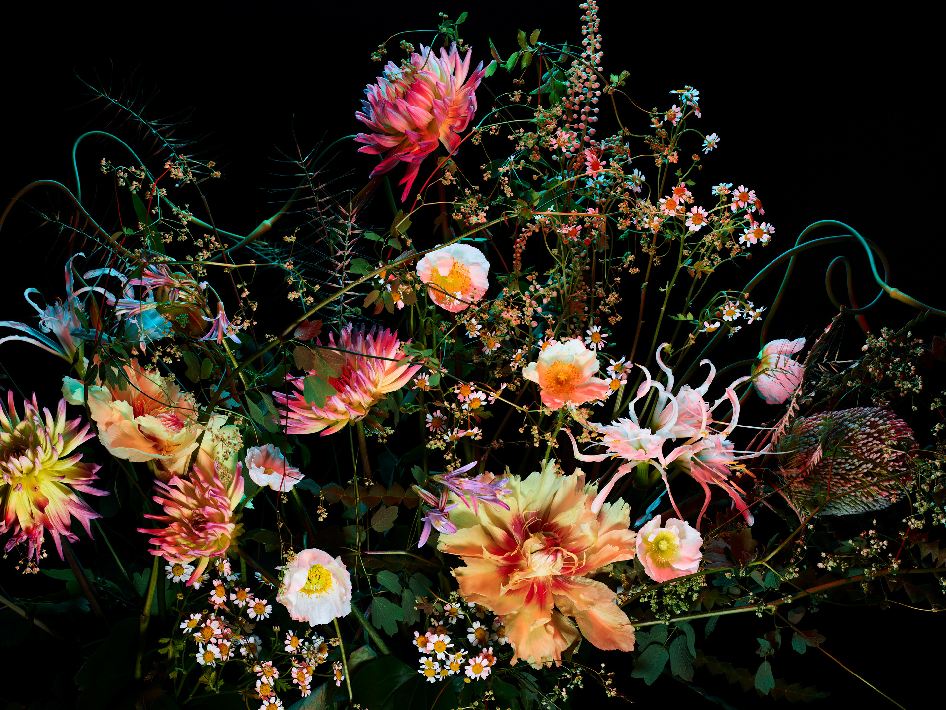 The Birds and the Bees