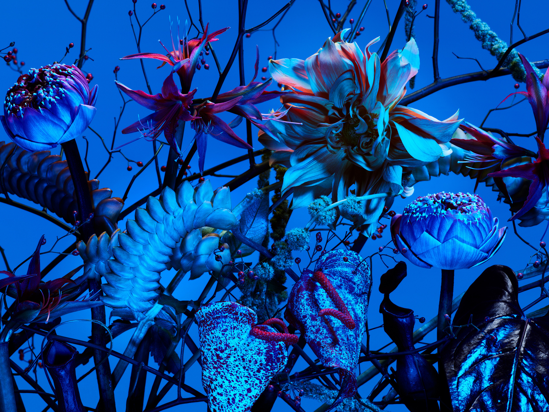 The Birds and the Bees