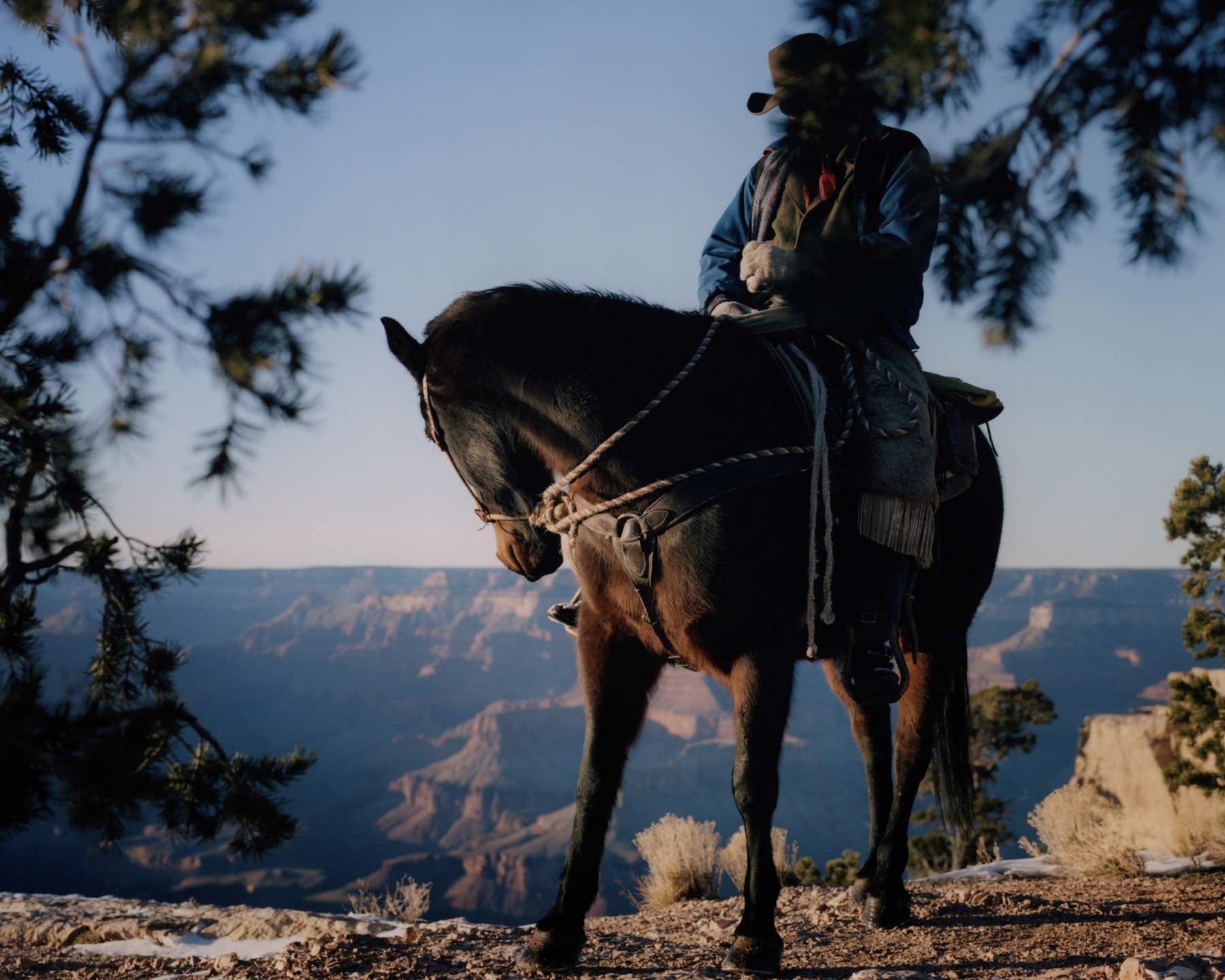 The Last Cowboy Project