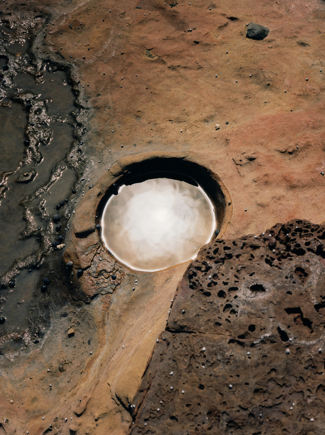 Northern Rivers Book & Exhibition