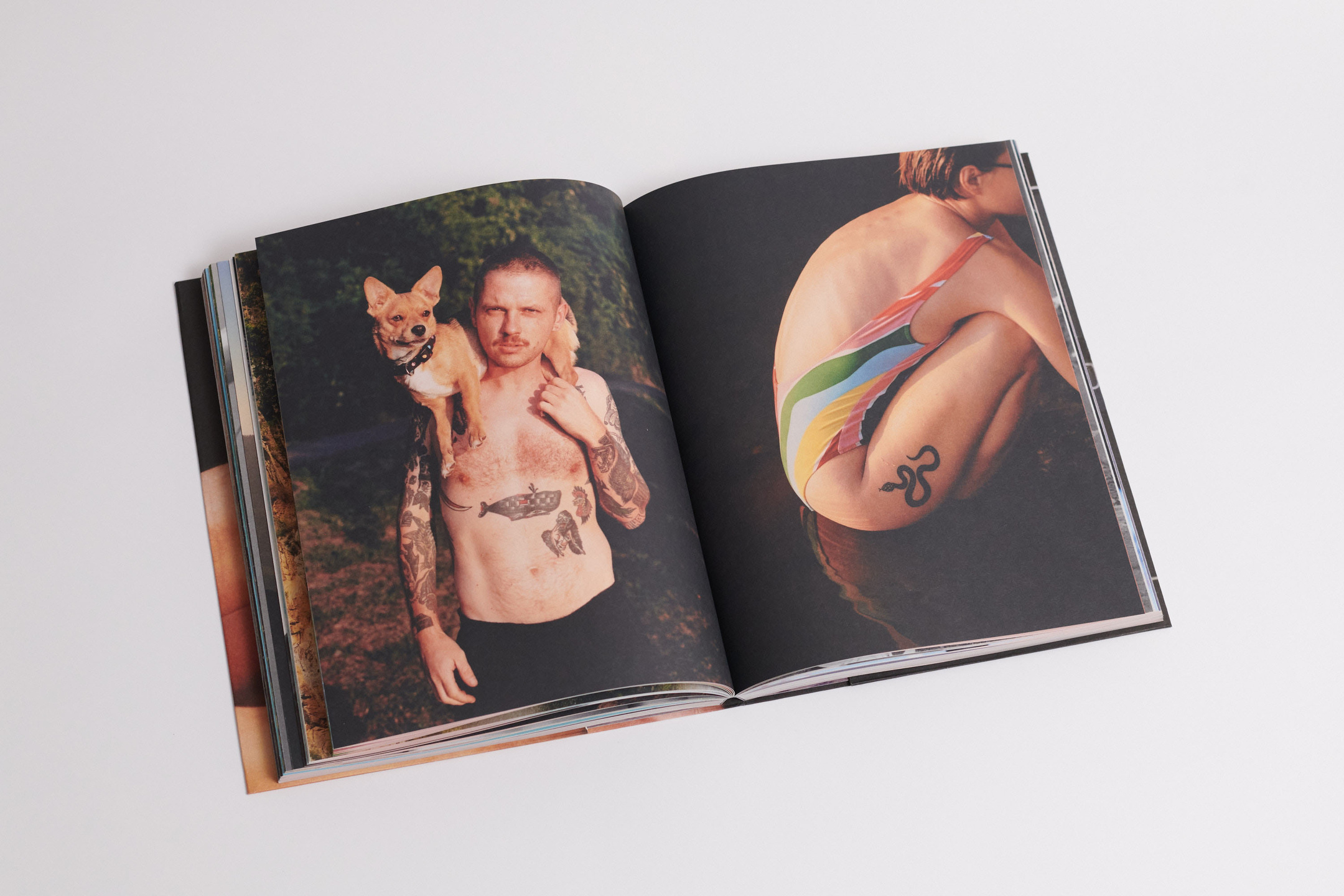 Bumps Book & Exhibition