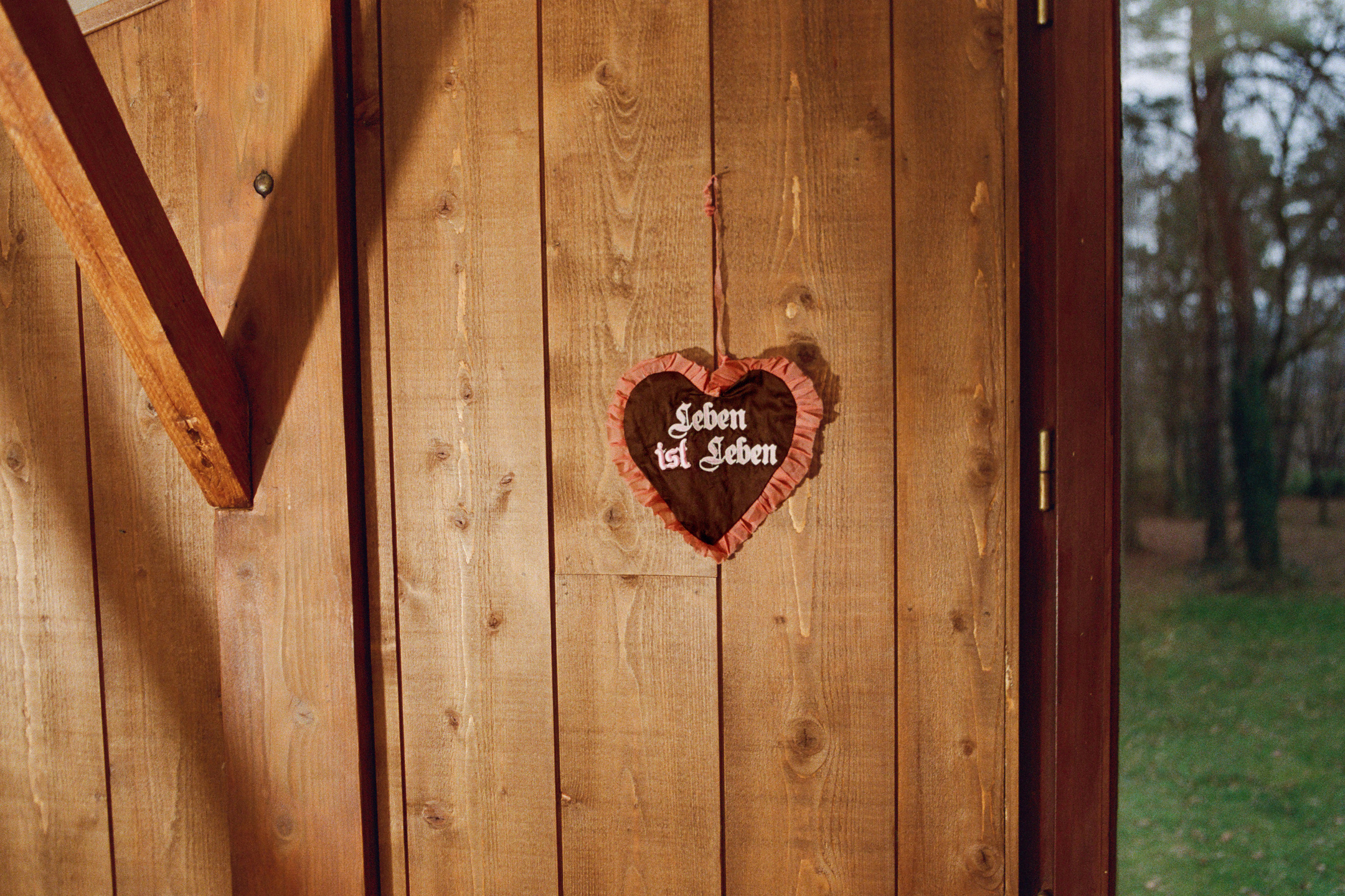 My Side of the Mountain