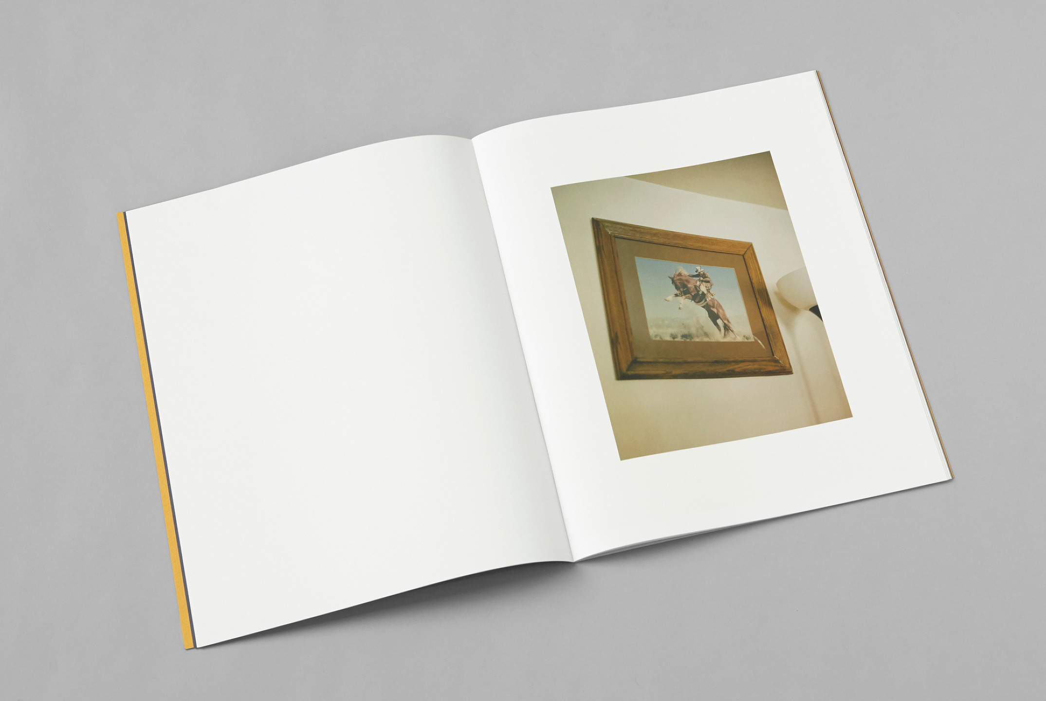 The Last Cowboy Project