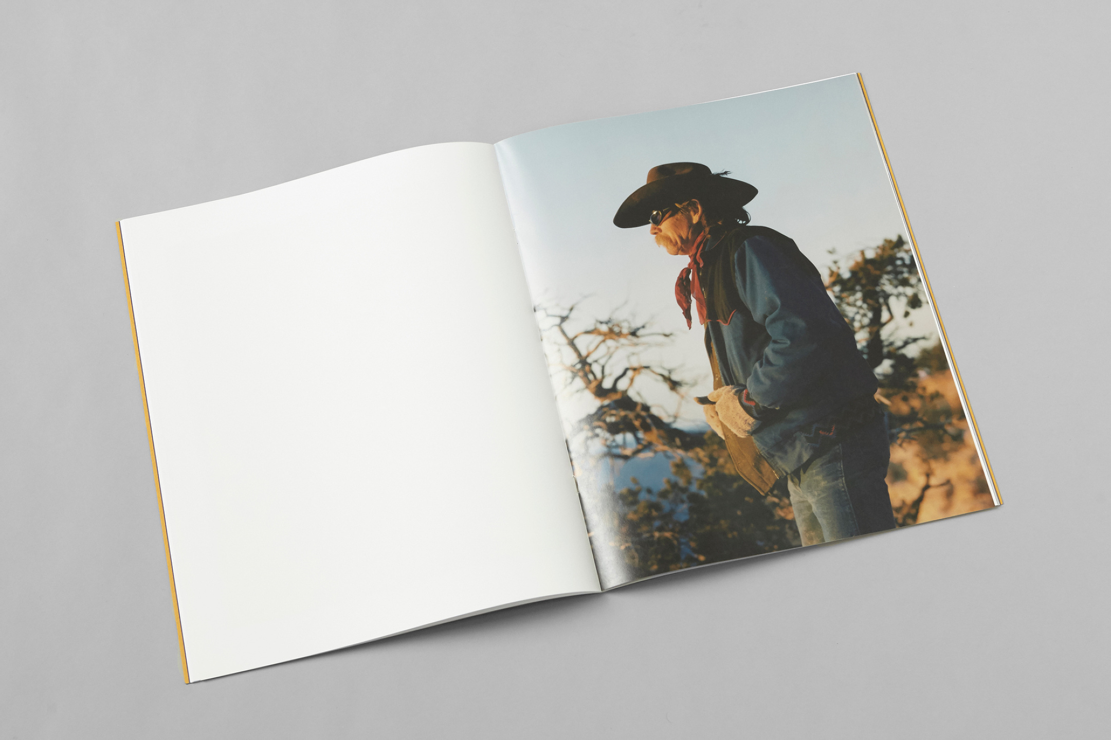 The Last Cowboy Project