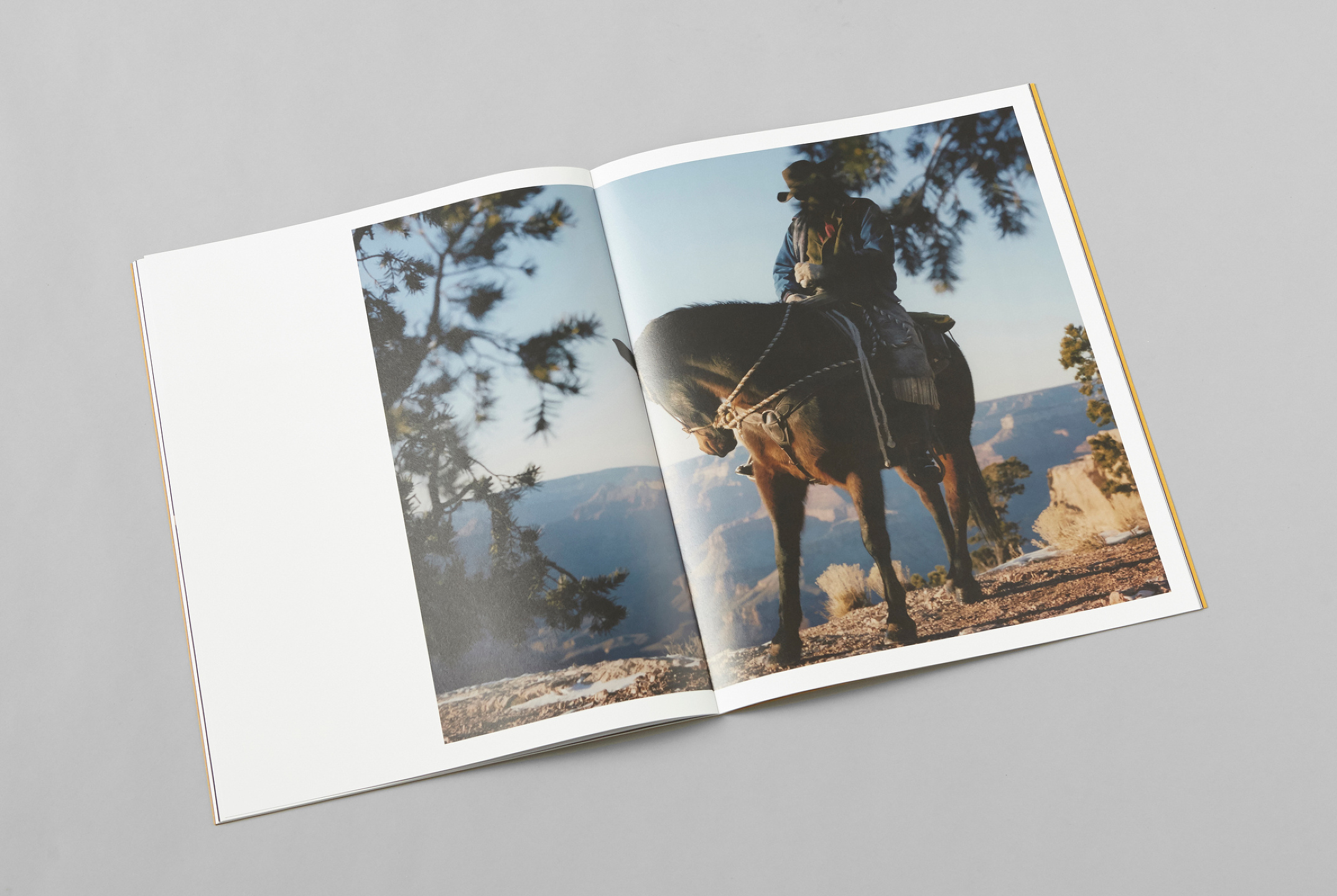 The Last Cowboy Project