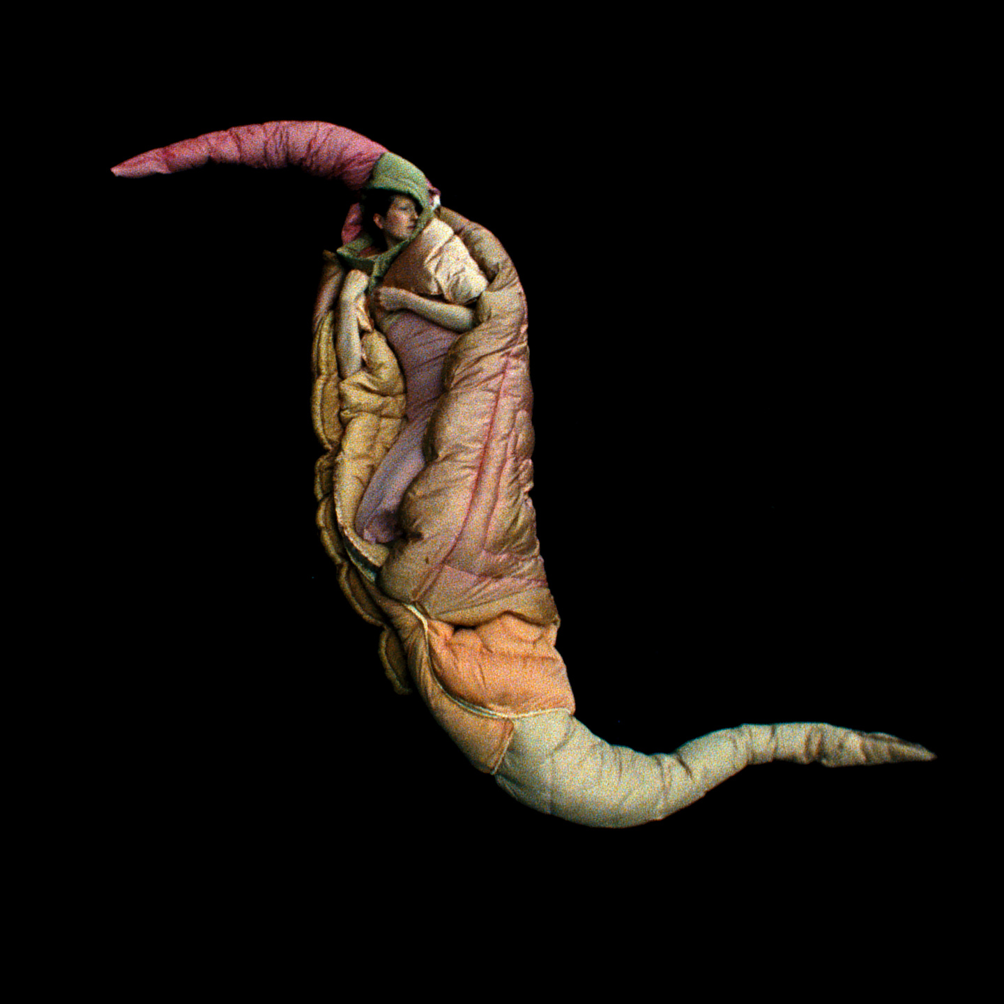 A is for Ant: short film, book and exhibition with Jack Davidson