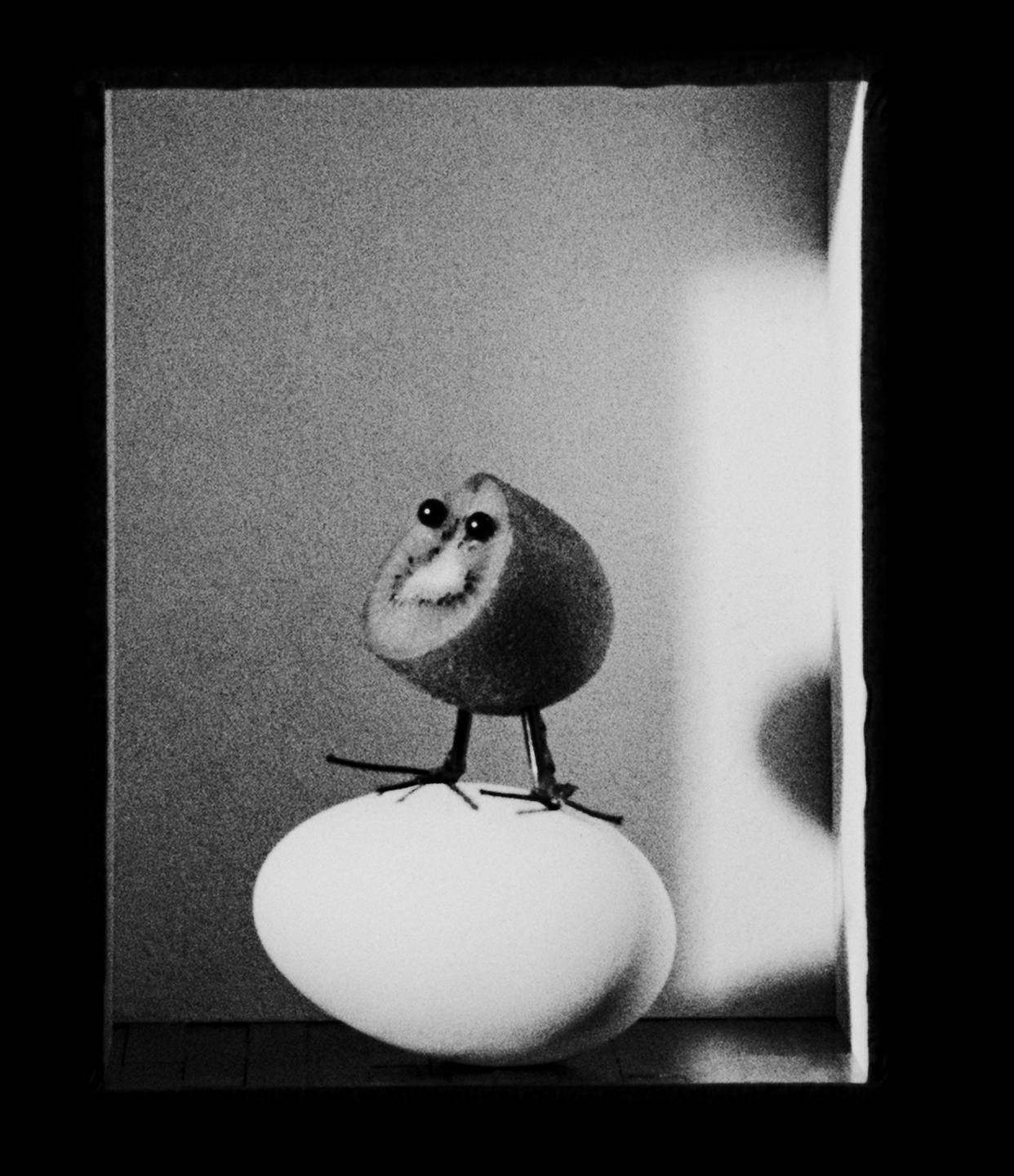 A is for Ant: short film, book and exhibition with Jack Davidson