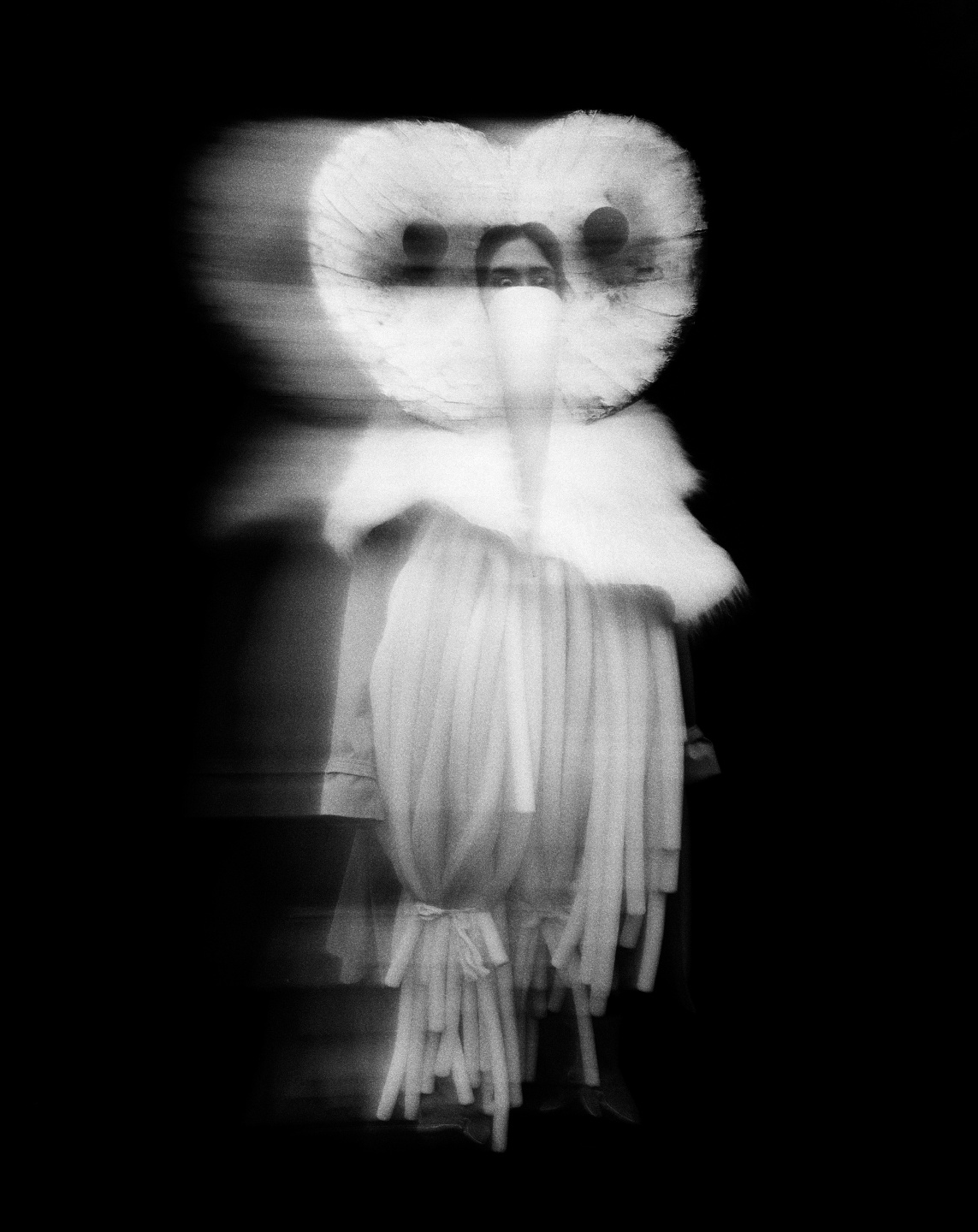 A is for Ant: short film, book and exhibition with Jack Davidson