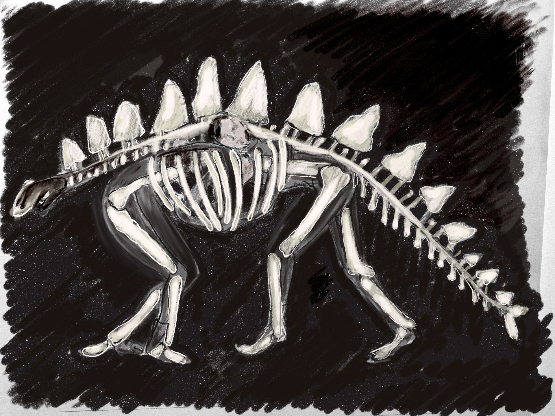 A is for Ant: short film, book and exhibition with Jack Davidson