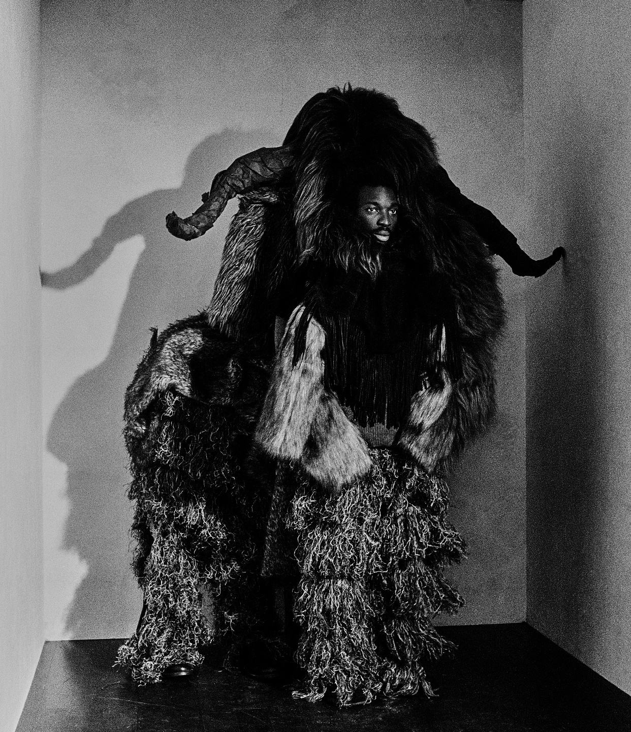 A is for Ant: short film, book and exhibition with Jack Davidson