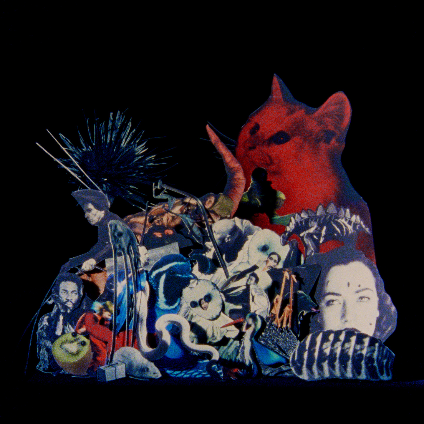 A is for Ant: short film, book and exhibition with Jack Davidson