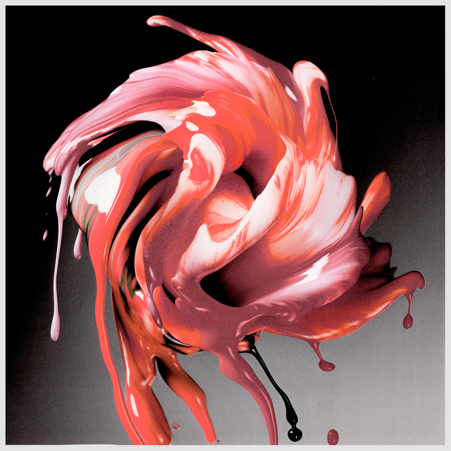 Josie Hall Portfolio