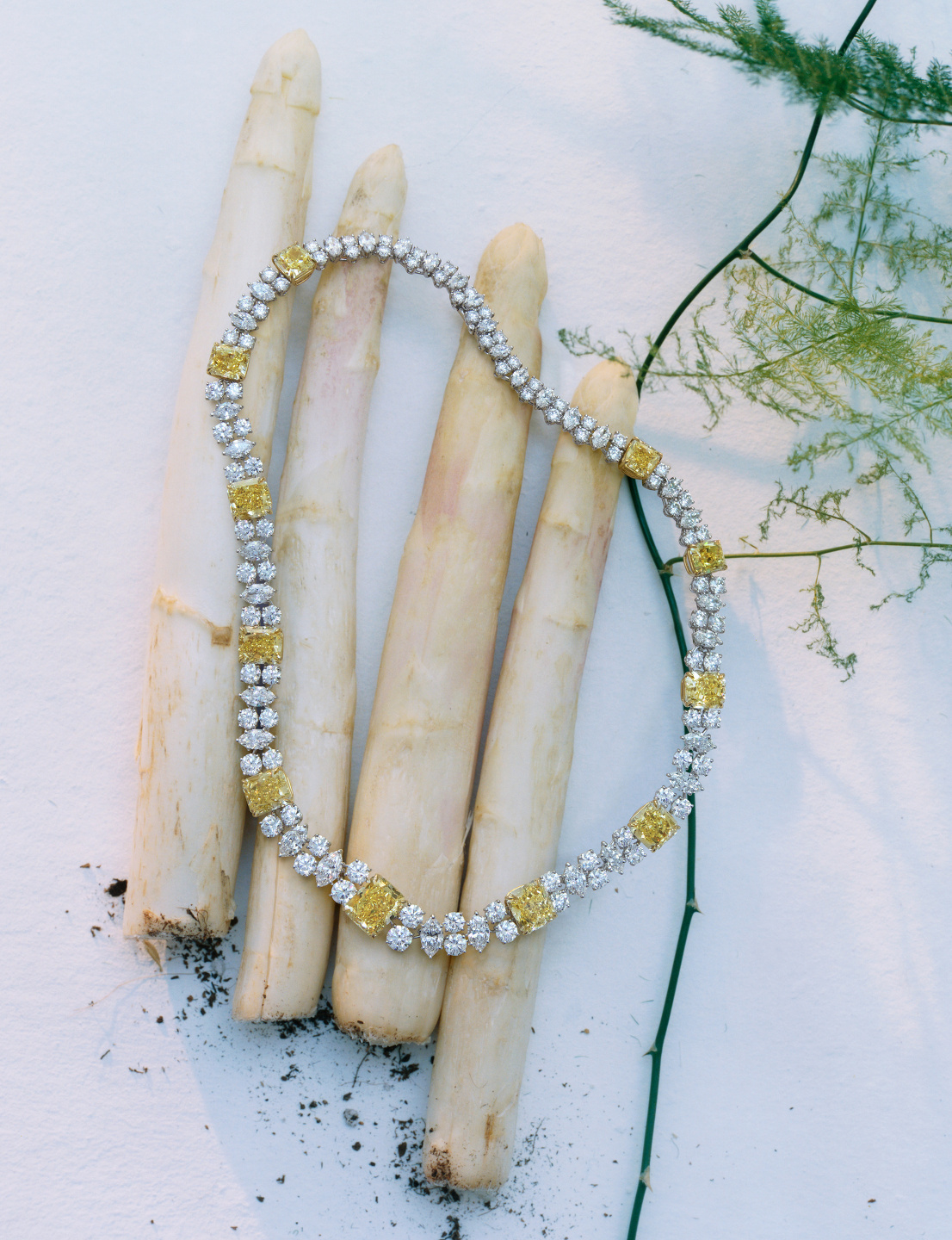 Trésors De La Nature