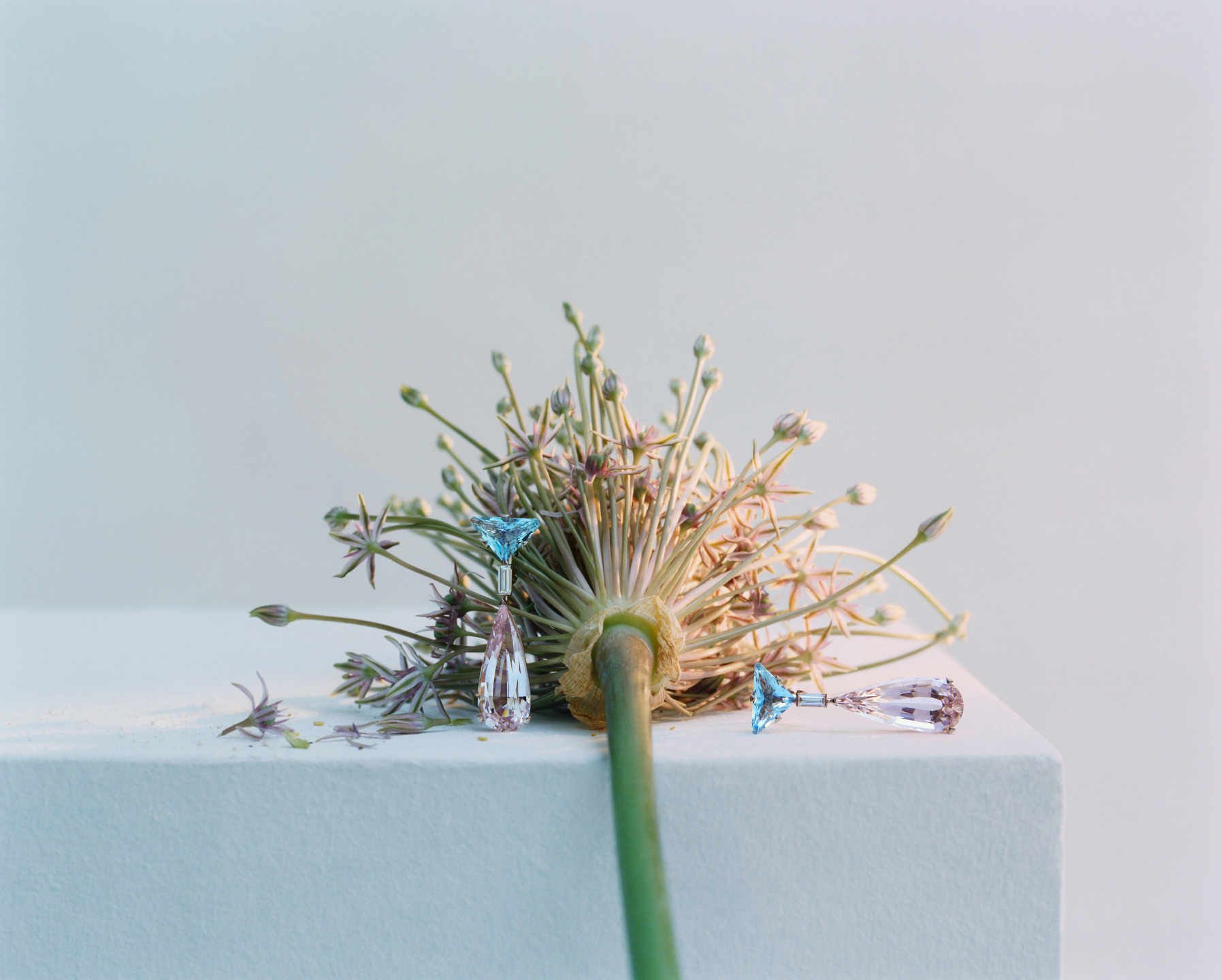 Trésors De La Nature