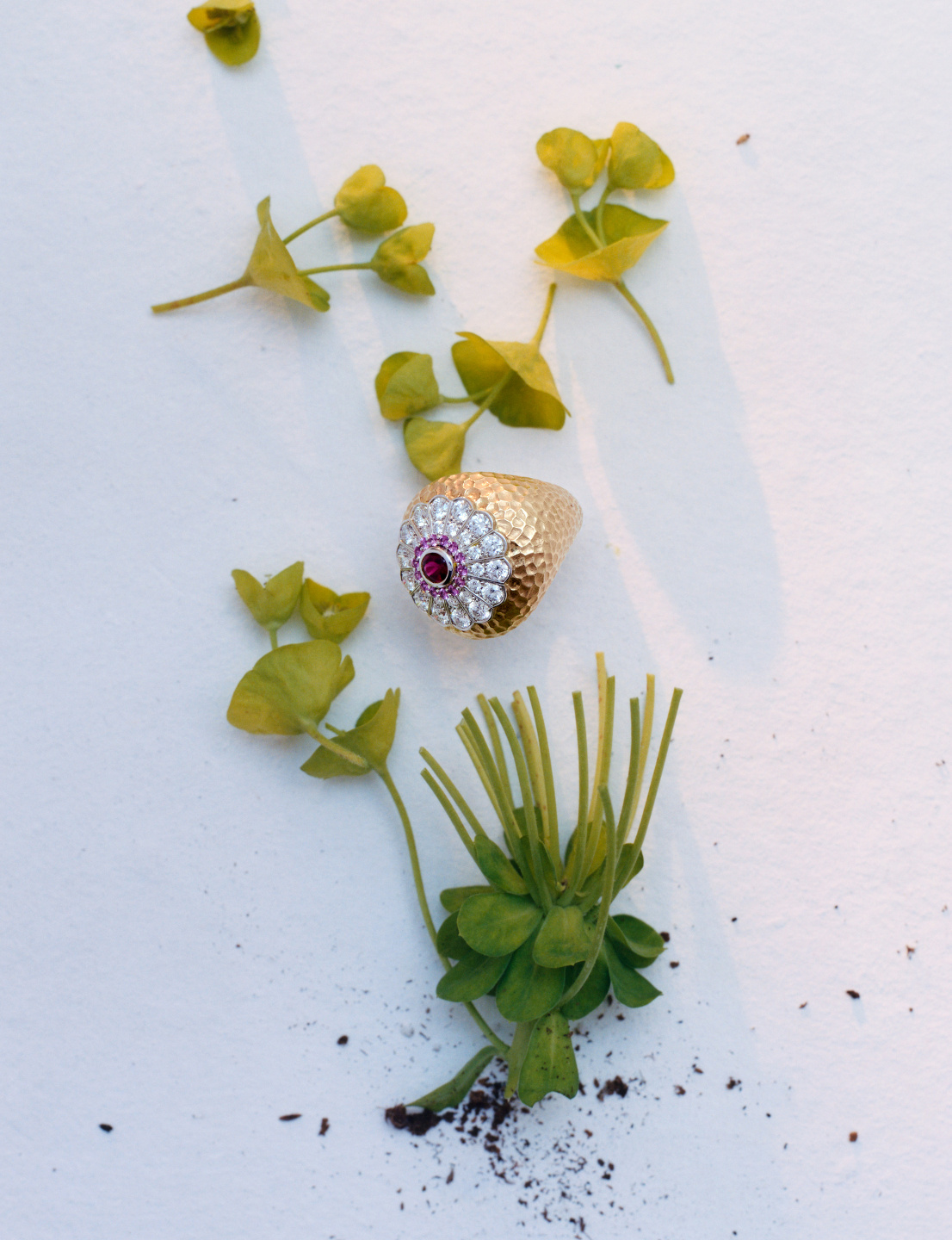 Trésors De La Nature