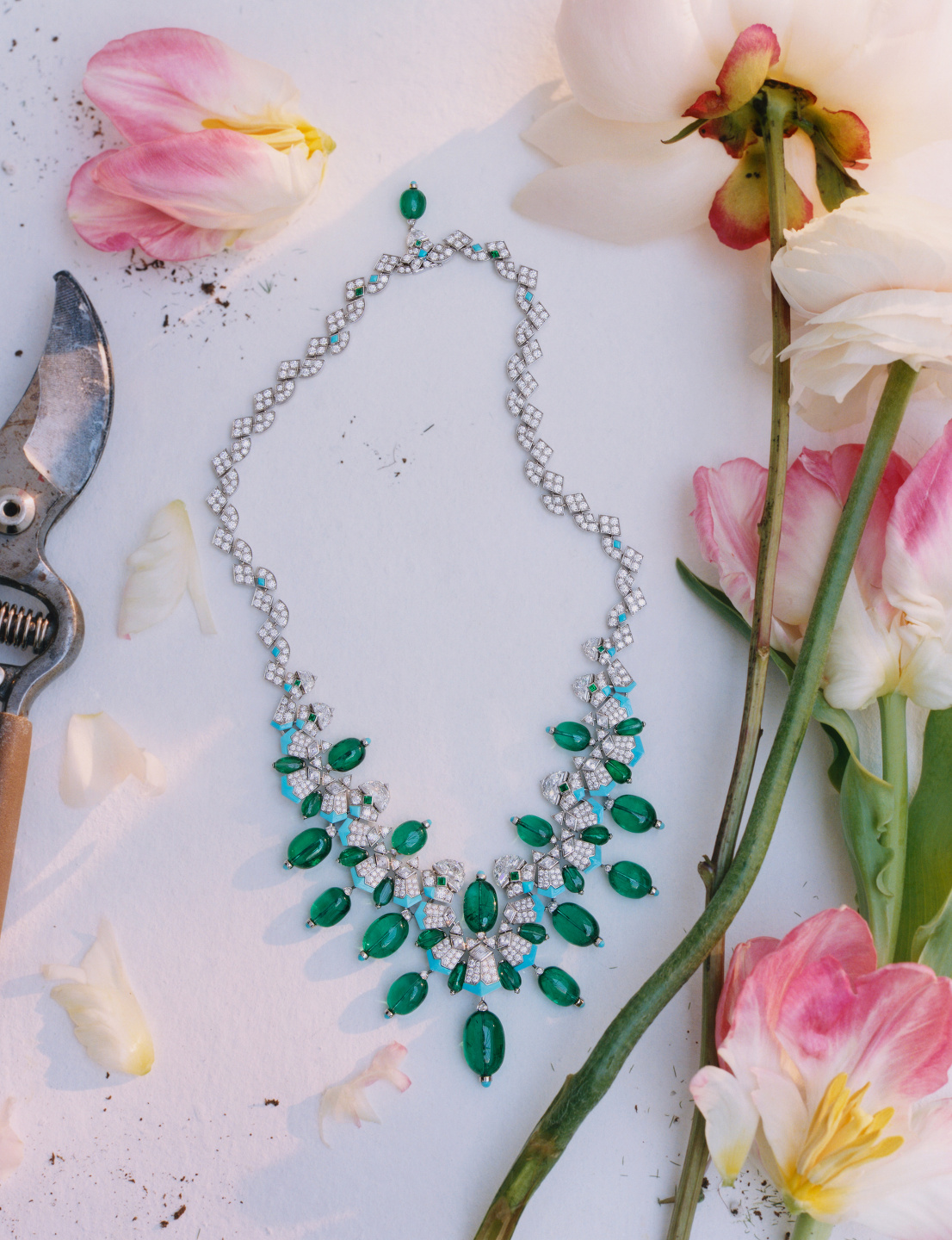 Trésors De La Nature