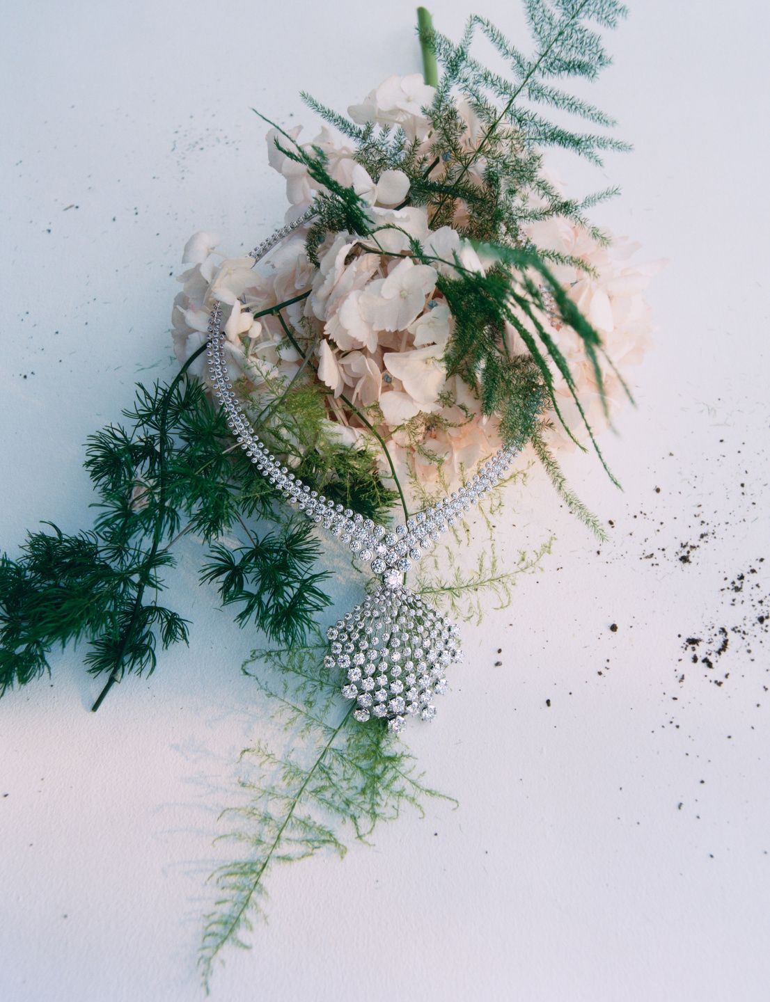 Trésors De La Nature