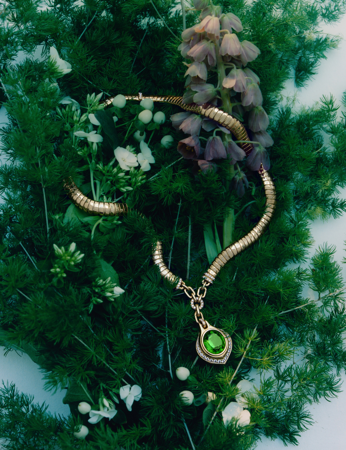 Trésors De La Nature