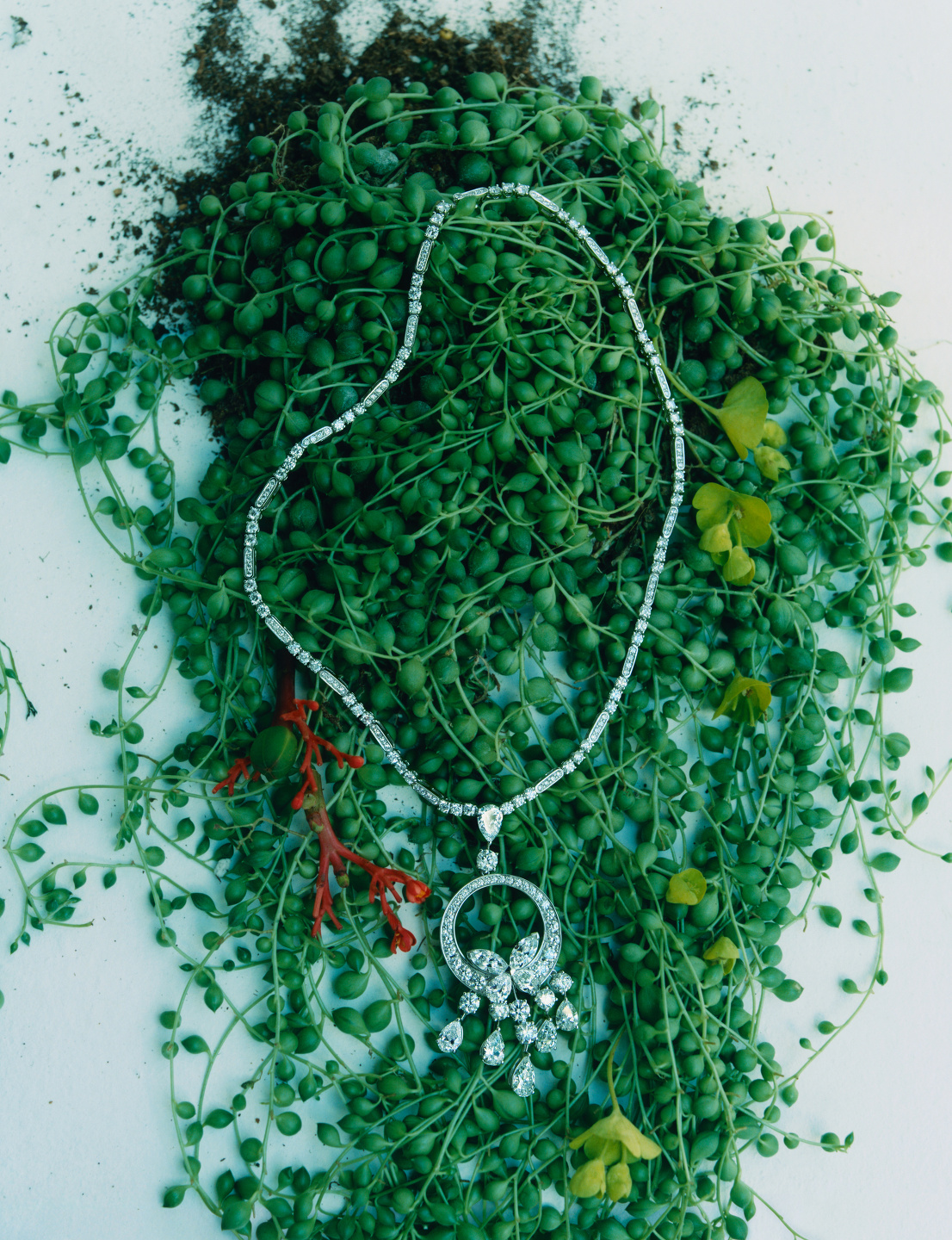 Trésors De La Nature