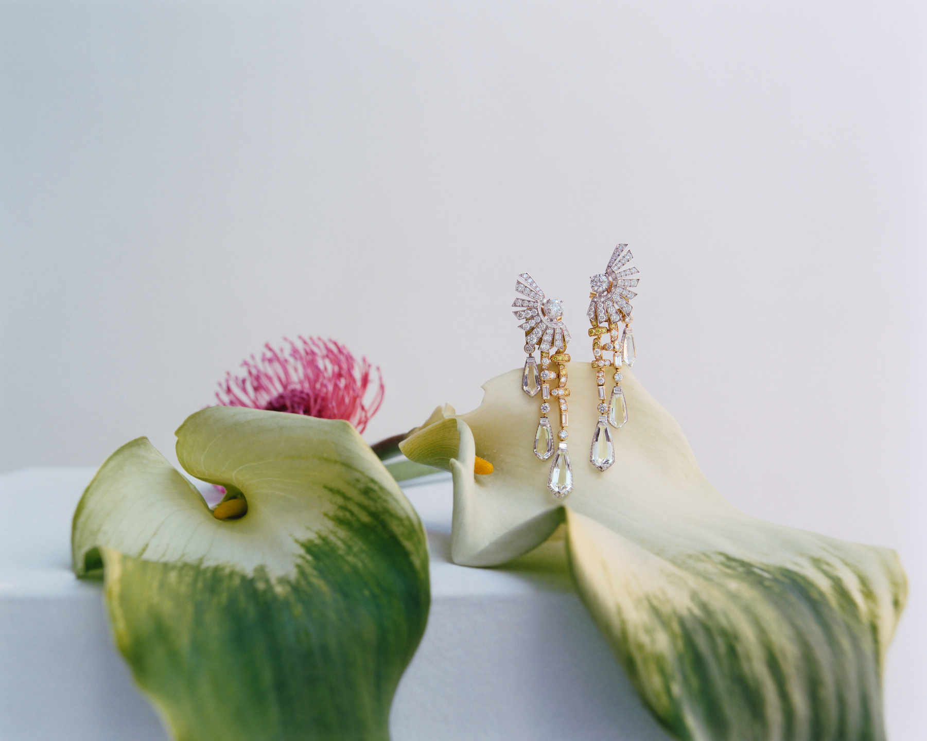 Trésors De La Nature