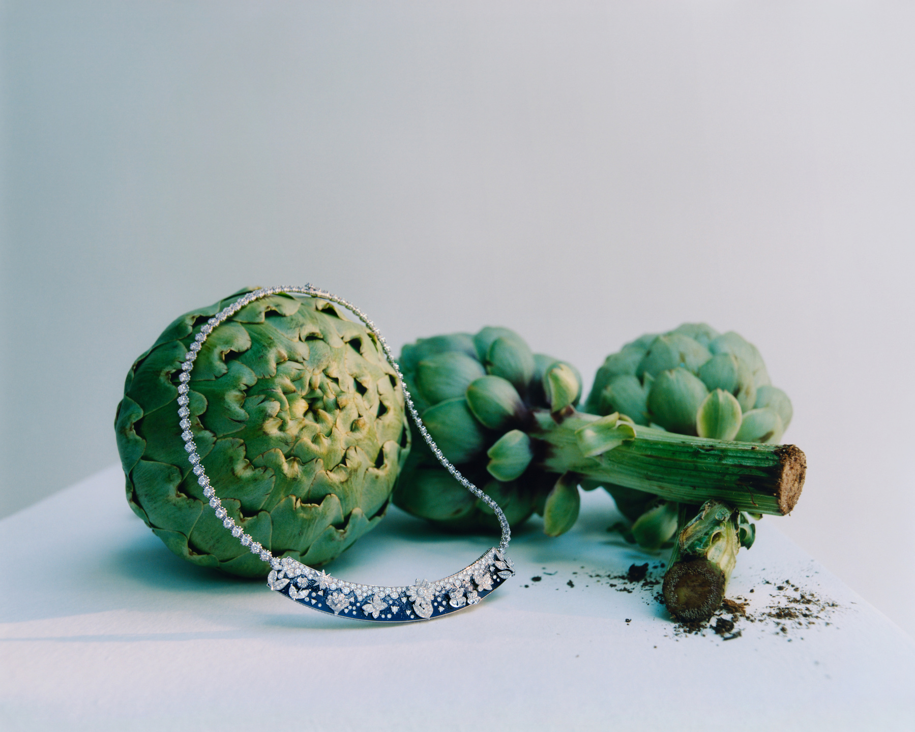 Trésors De La Nature