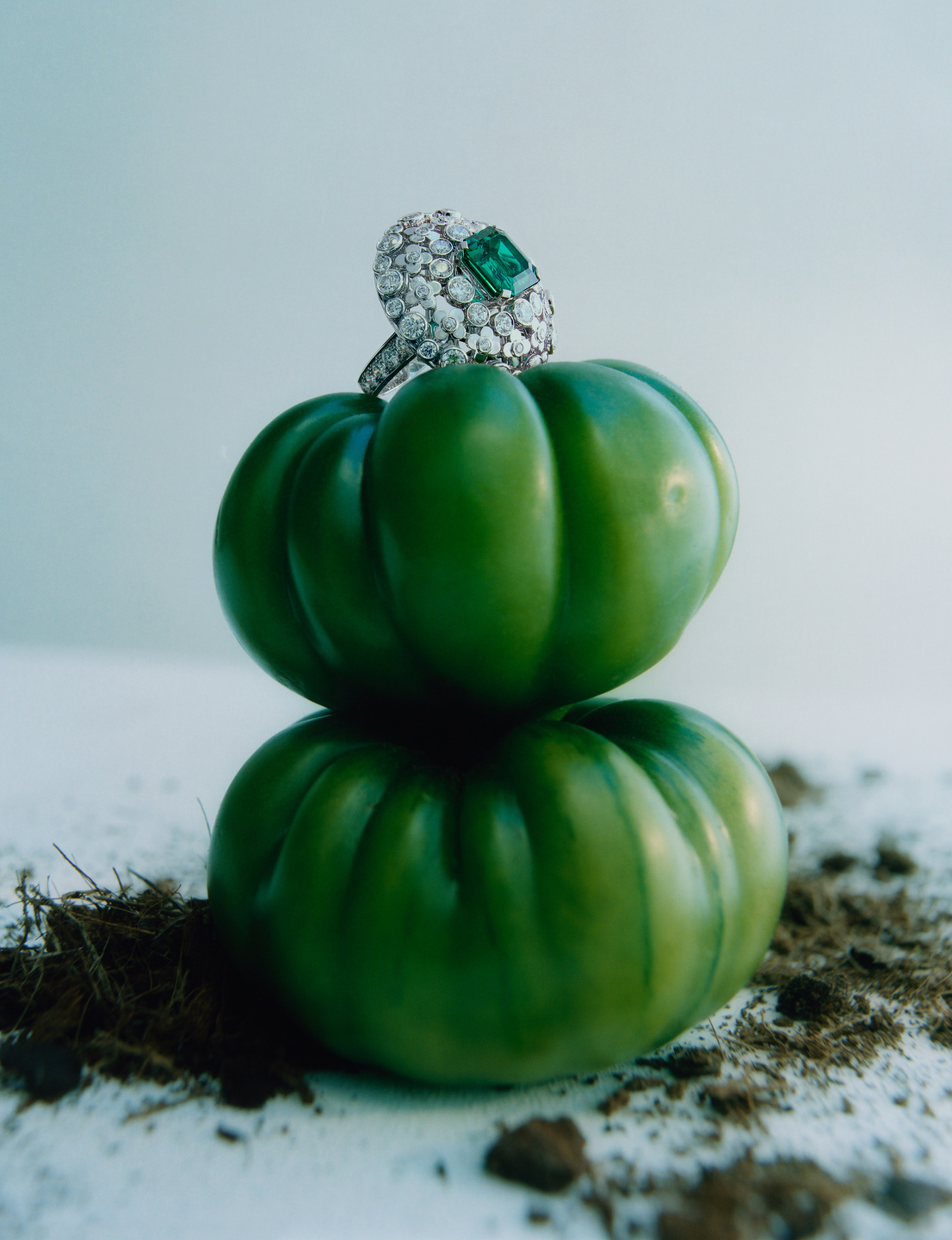 Trésors De La Nature