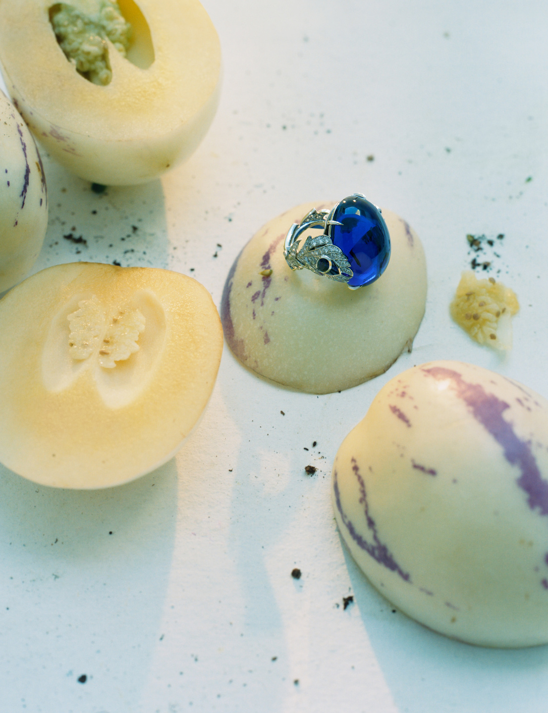 Trésors De La Nature