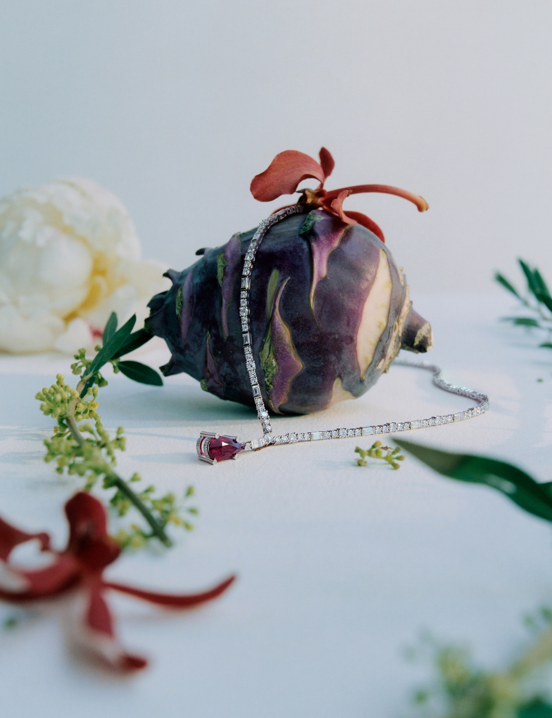 Trésors De La Nature