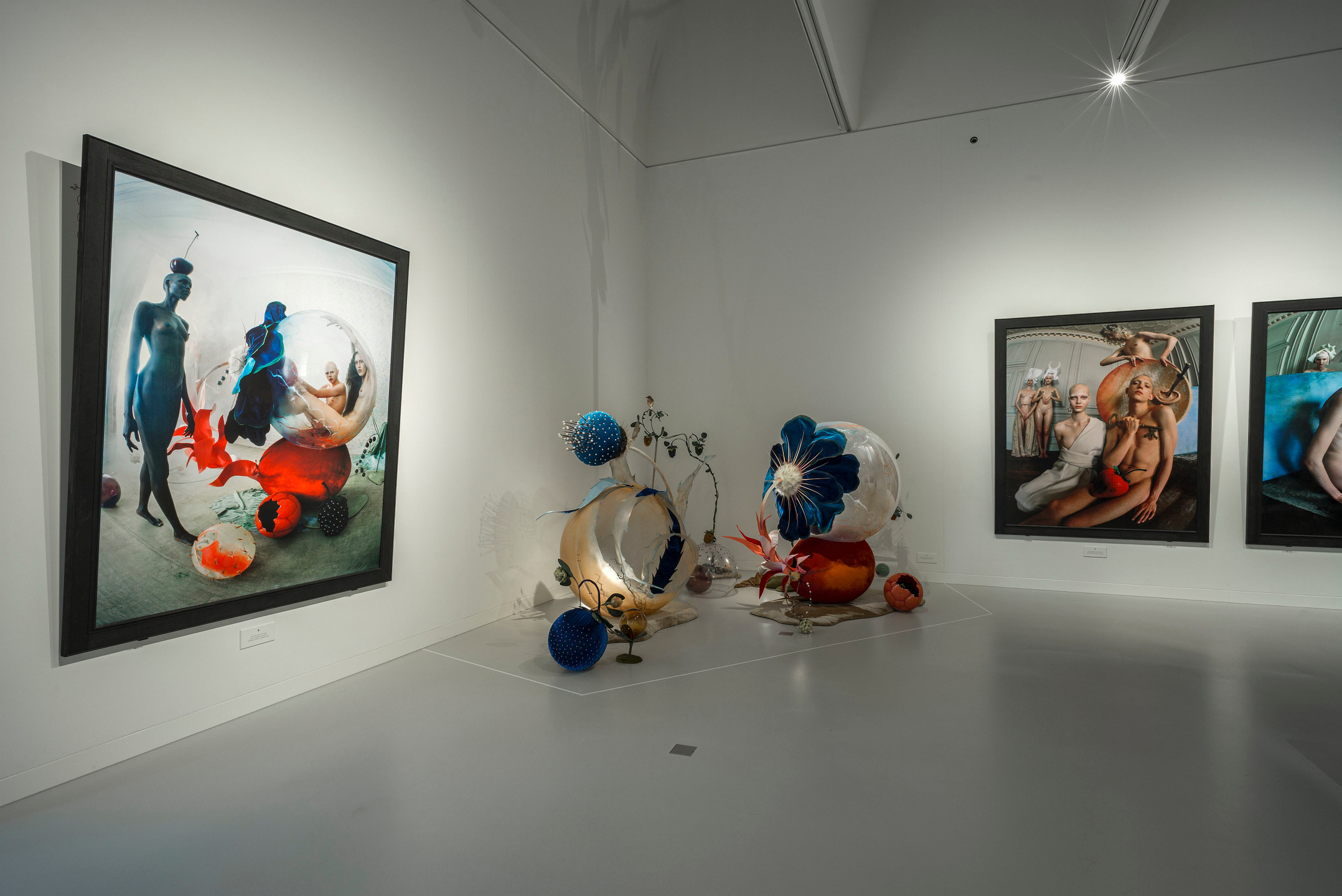 Noordbrabants Museum 