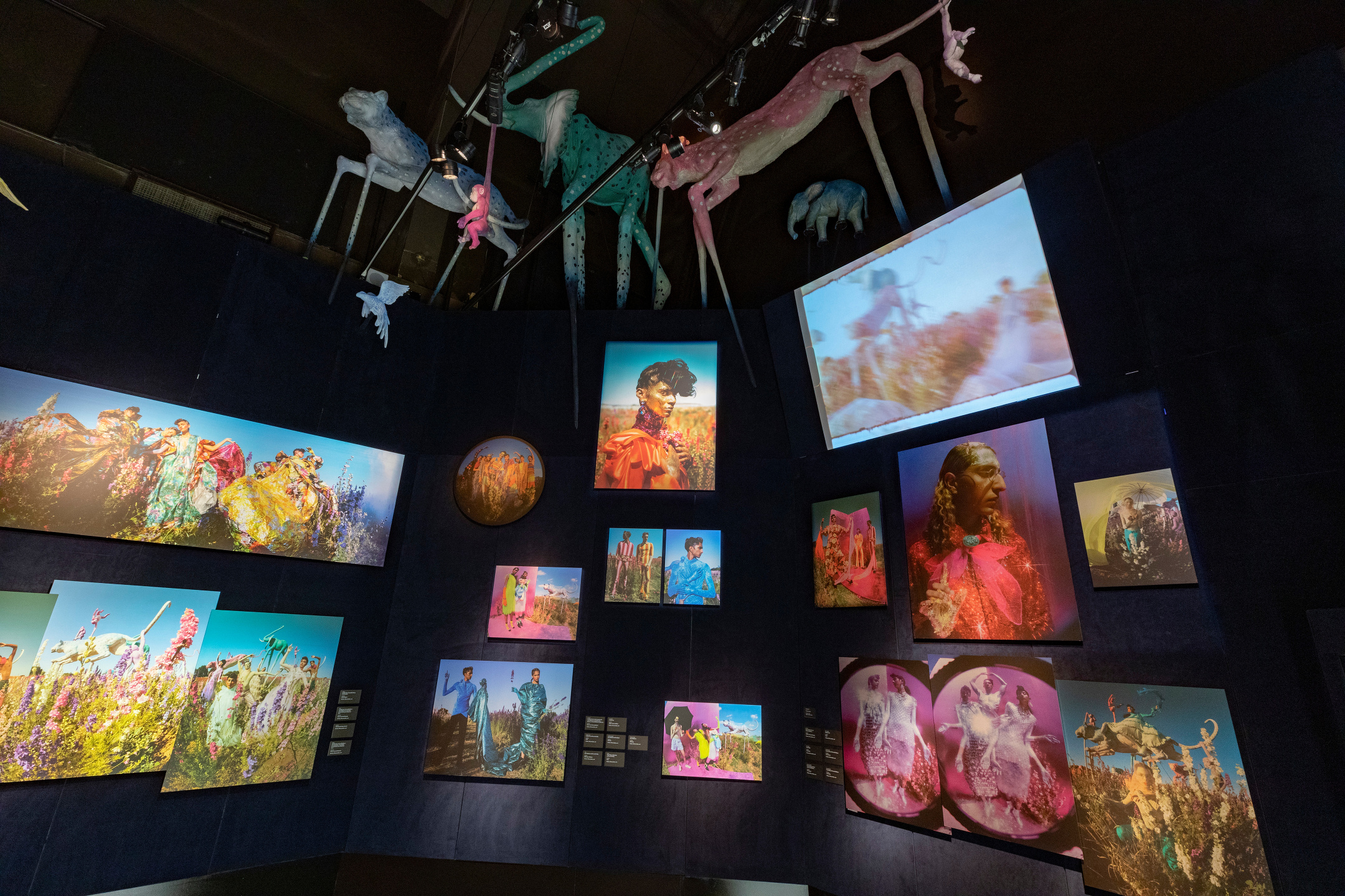 V&A - Tim Walker 'Wonderful Things' Exhibition