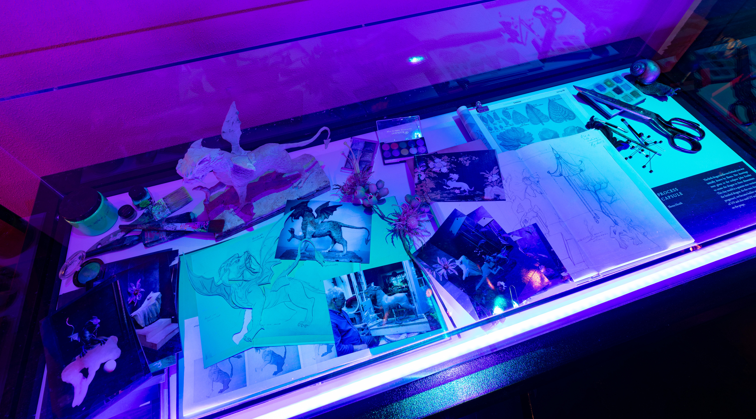 V&A - Tim Walker 'Wonderful Things' Exhibition