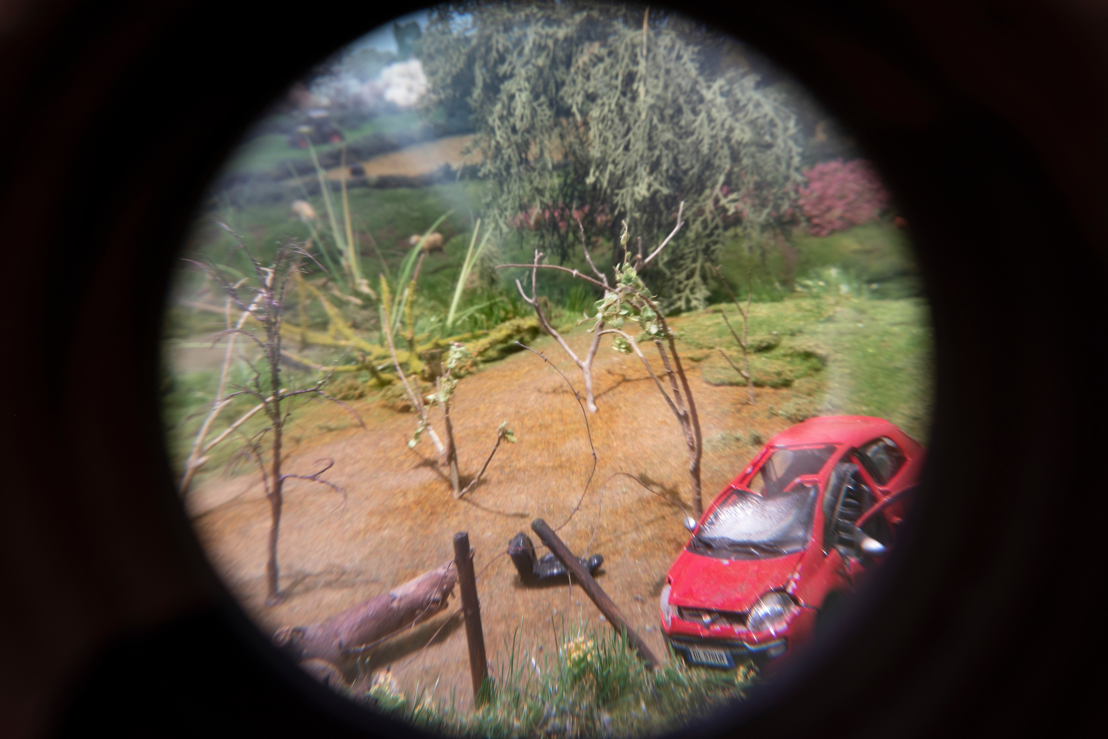 V&A - Tim Walker 'Wonderful Things' Exhibition