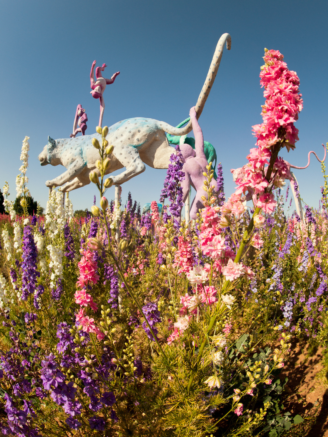 V&A - Tim Walker 'Wonderful Things' Exhibition