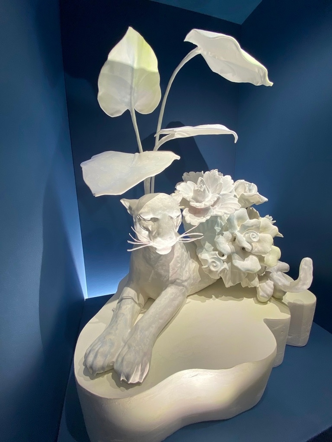 Studio Shamshiri, Irene Neuwirth