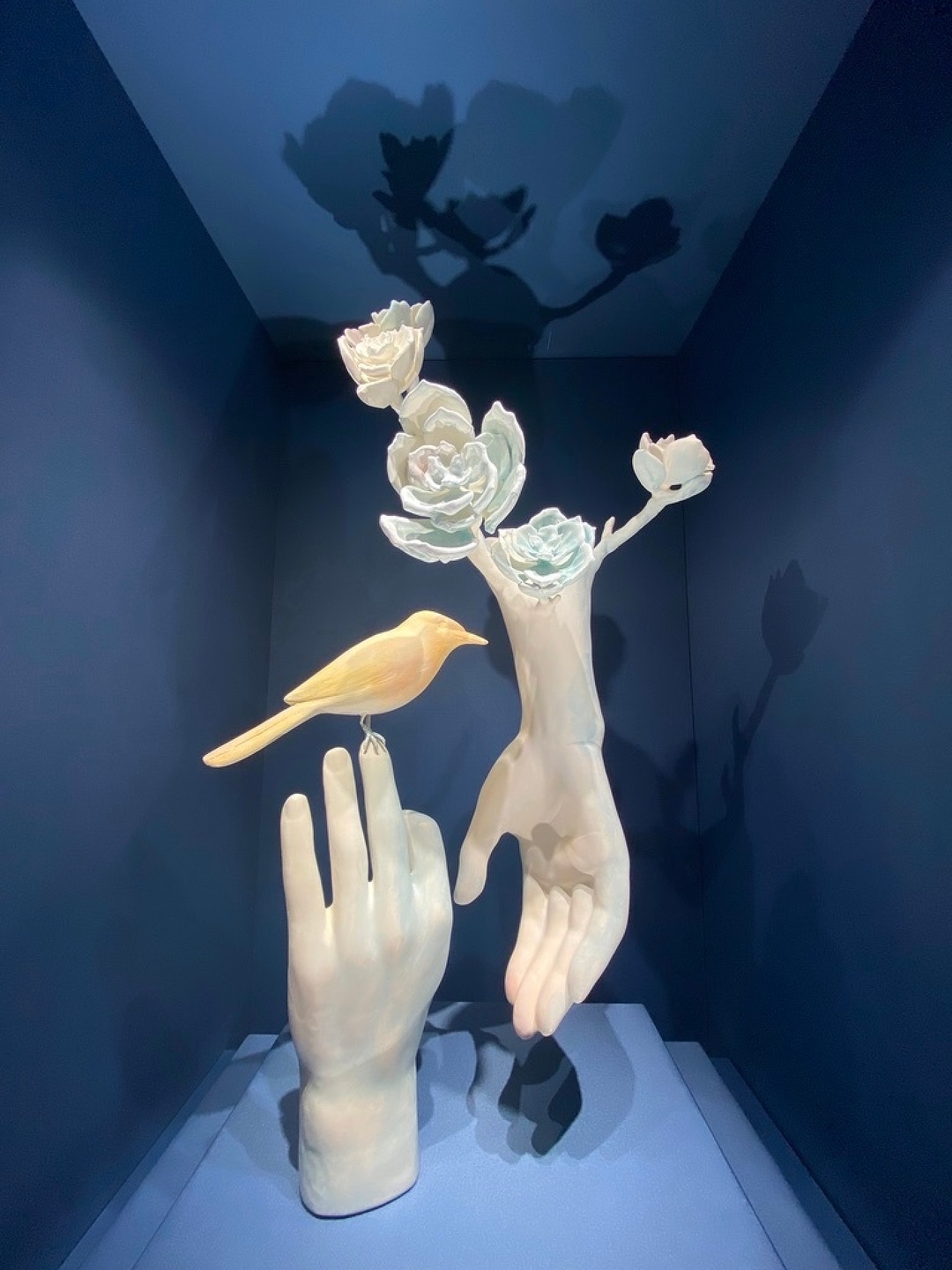 Studio Shamshiri, Irene Neuwirth