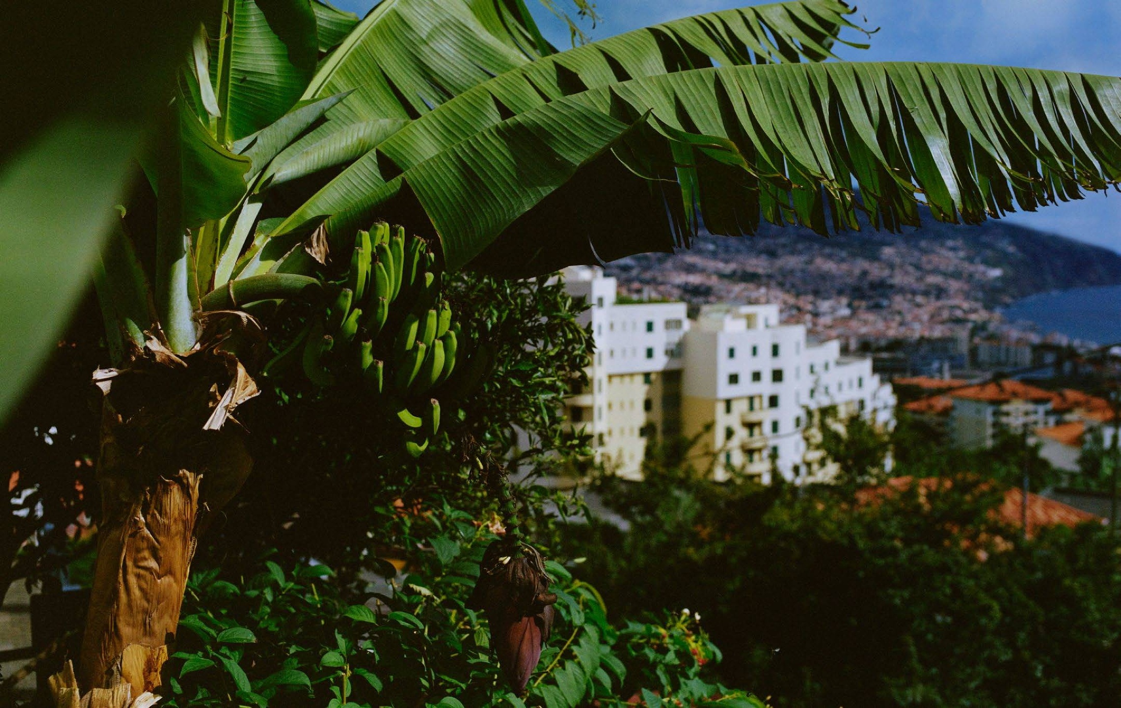 Belmond x Apartamento