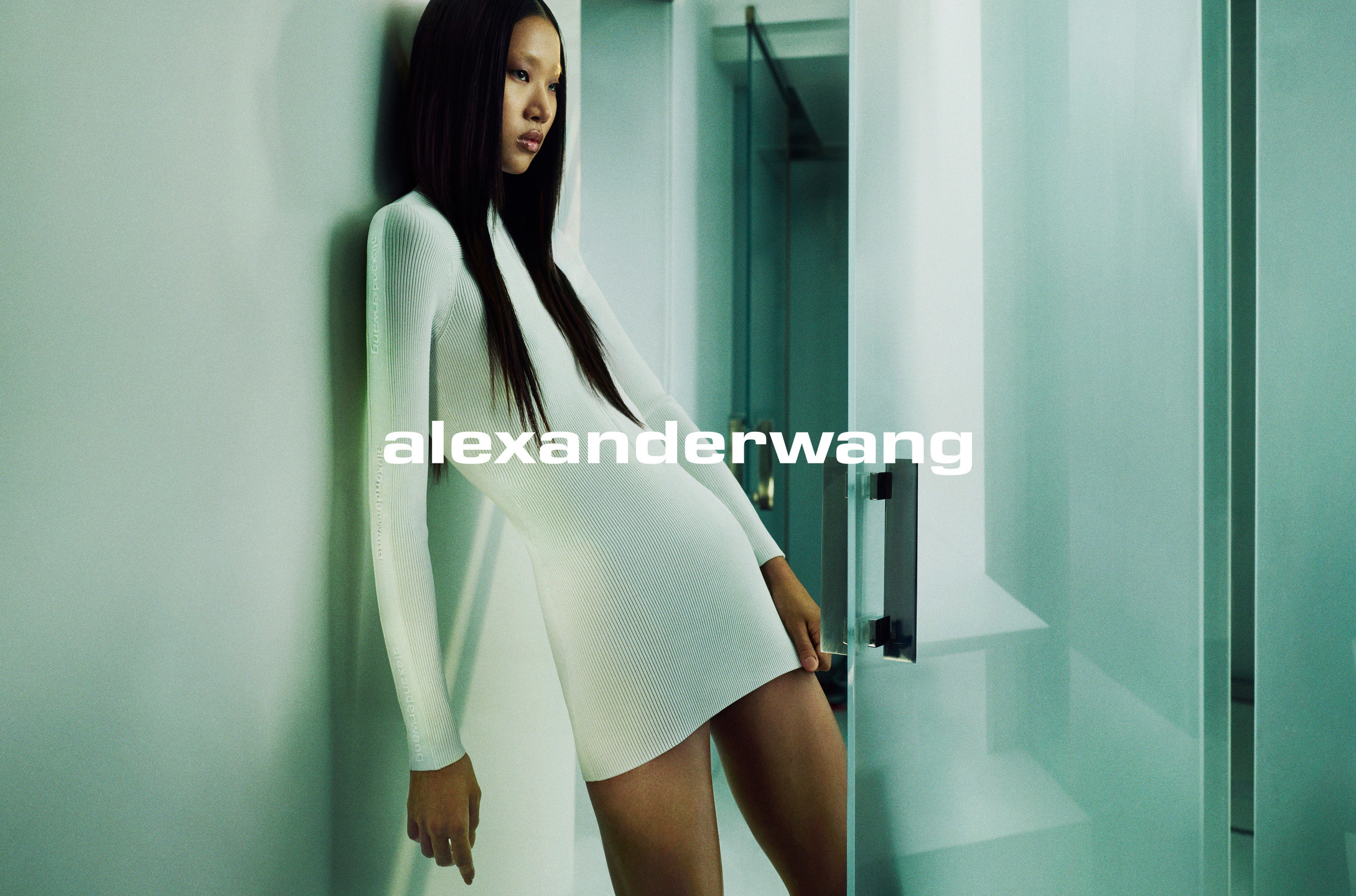 Alexander Wang