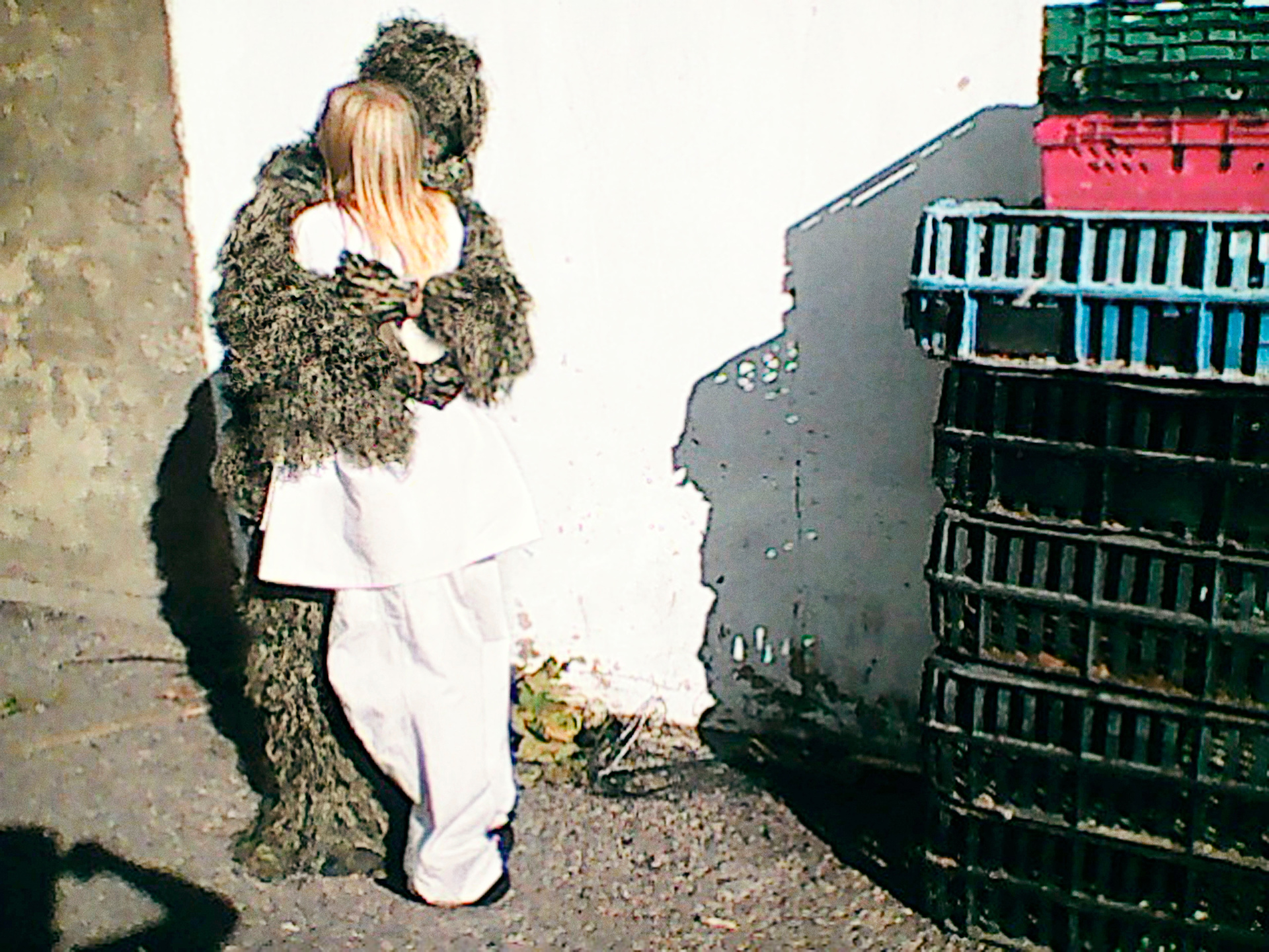 Luncheon, Murder of a Mermaid, Tim Gutt