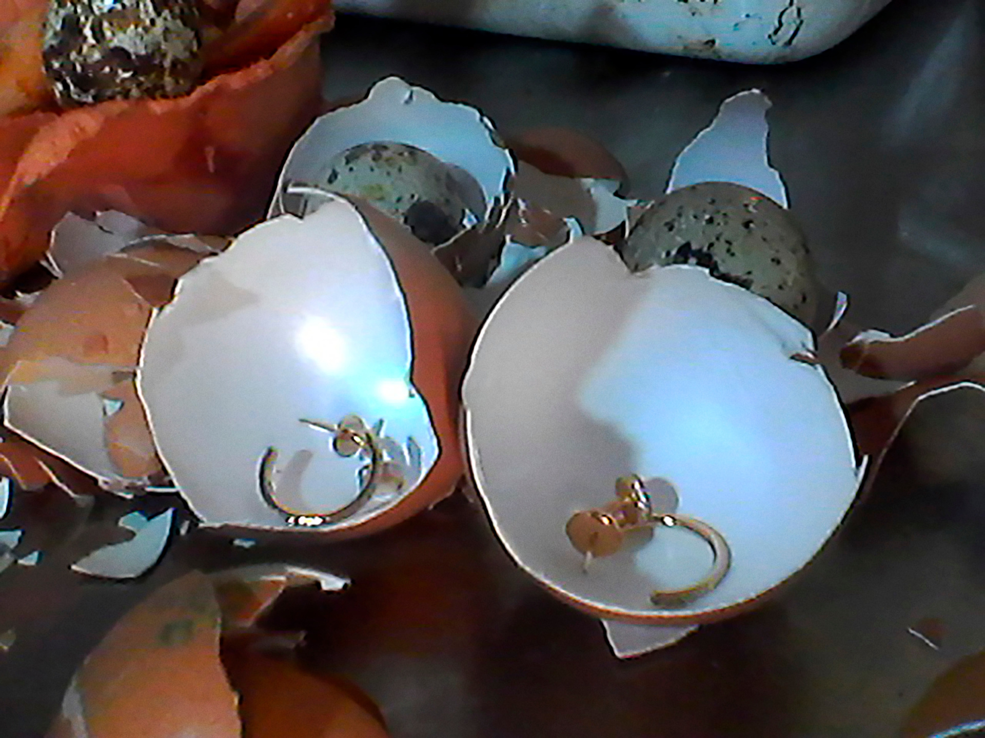 Luncheon, Murder of a Mermaid, Tim Gutt