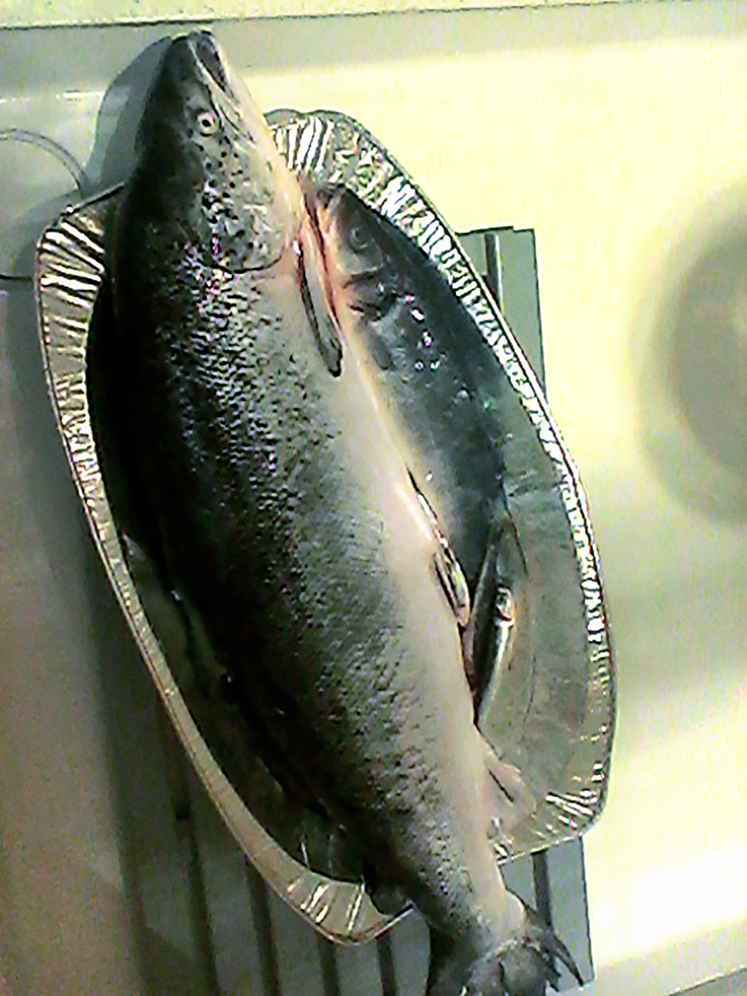 Luncheon, Murder of a Mermaid, Tim Gutt