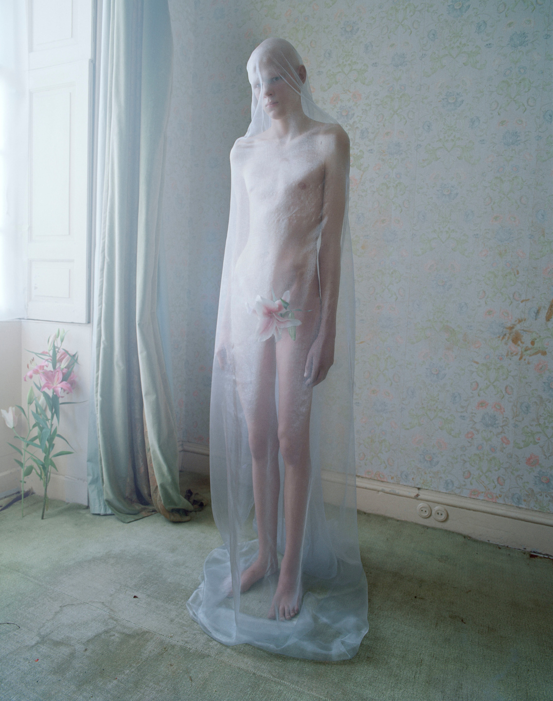 Love Magazine, Bosched, Tim Walker