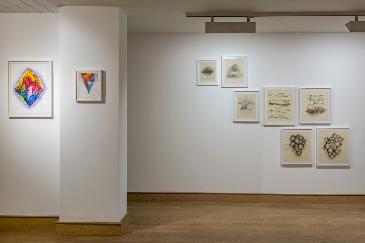 Nature Morte – Installation View