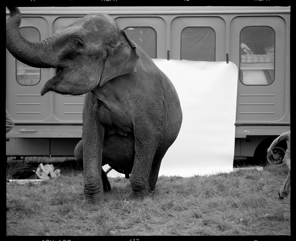 New York State Circus