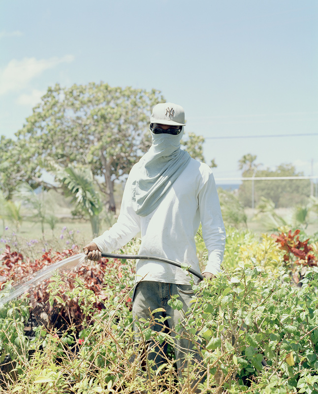 Wait-and-See Pudding with Patience Sauce