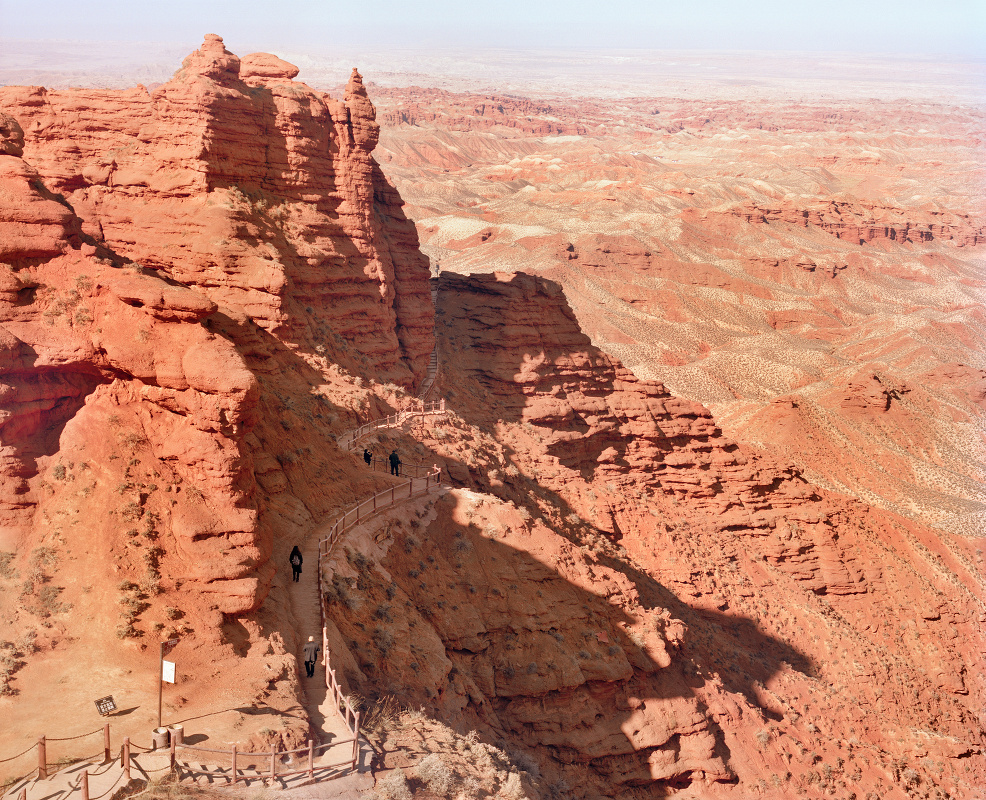 Universal Experience