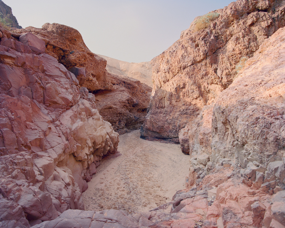 Road to Civilisation